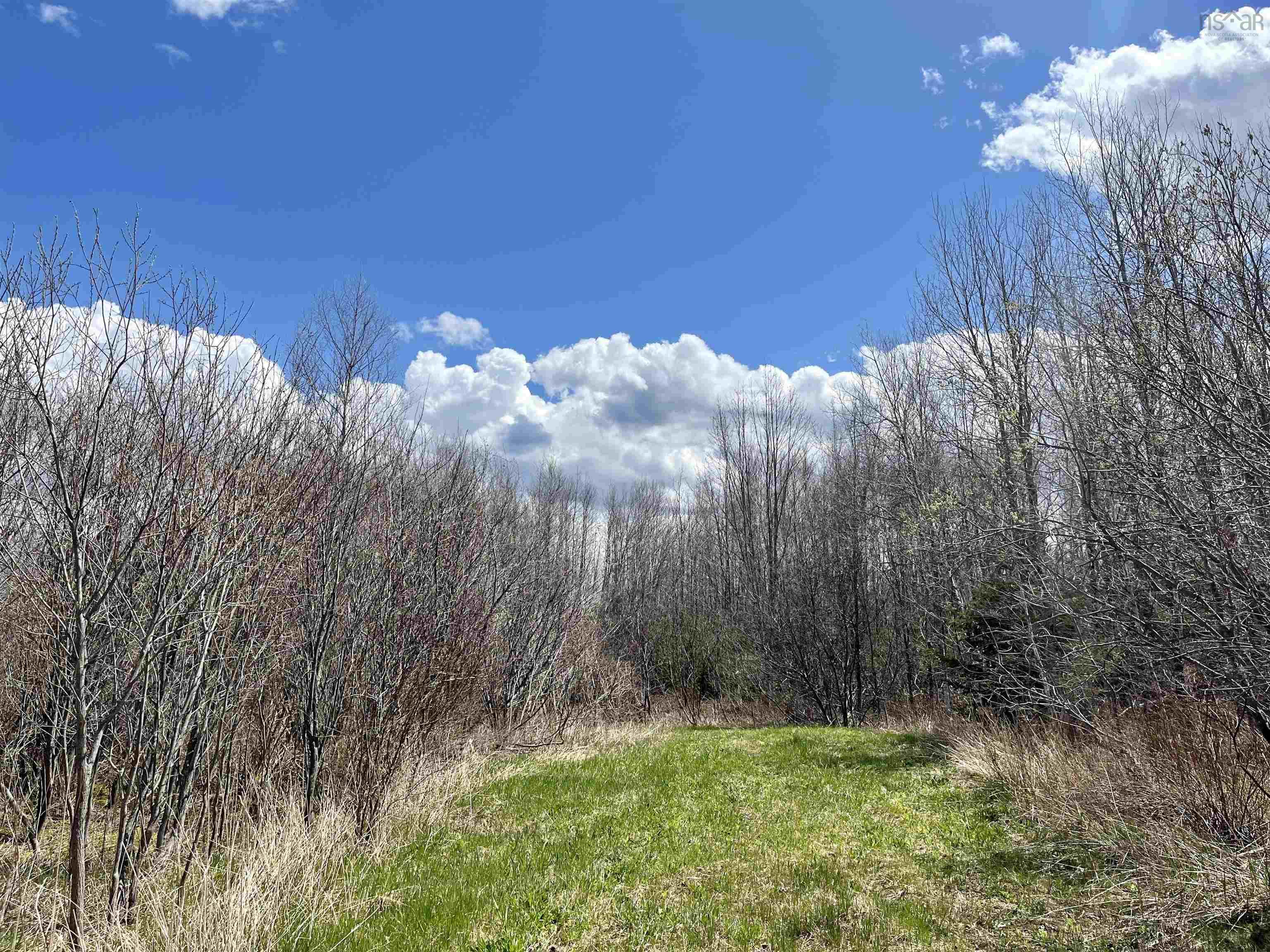 Lot Rock Road, Maple Grove NS - MLS<sup>®</sup>: # 202309669