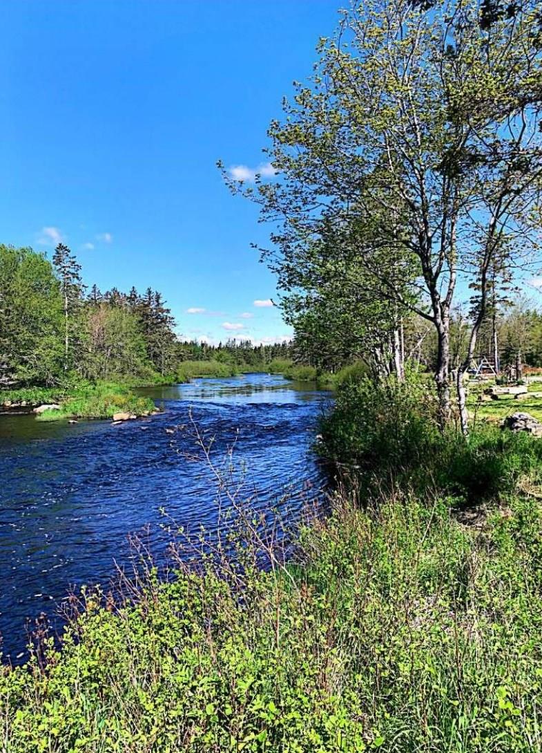15 Nauglers Settlement Road, Moser River NS - MLS<sup>®</sup>: # 202401788