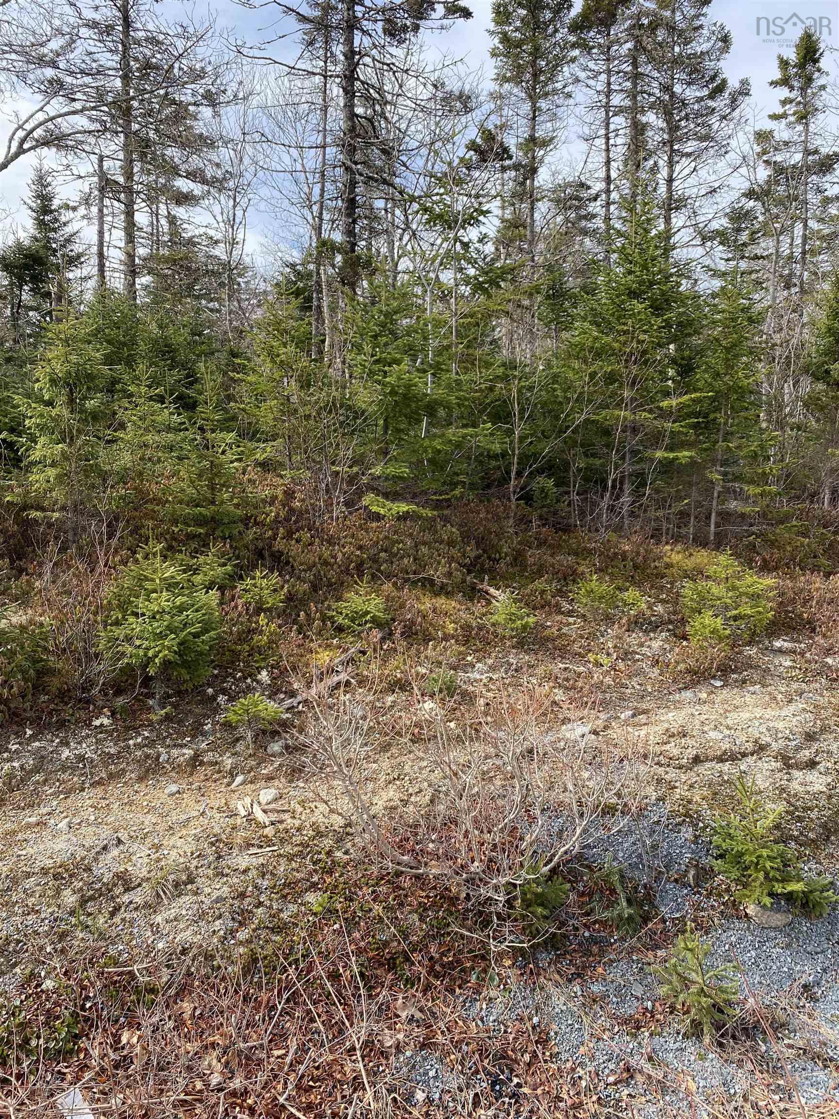 Lot 109 337 Toni Drive, Boutiliers Point NS - MLS<sup>®</sup>: # 202406861