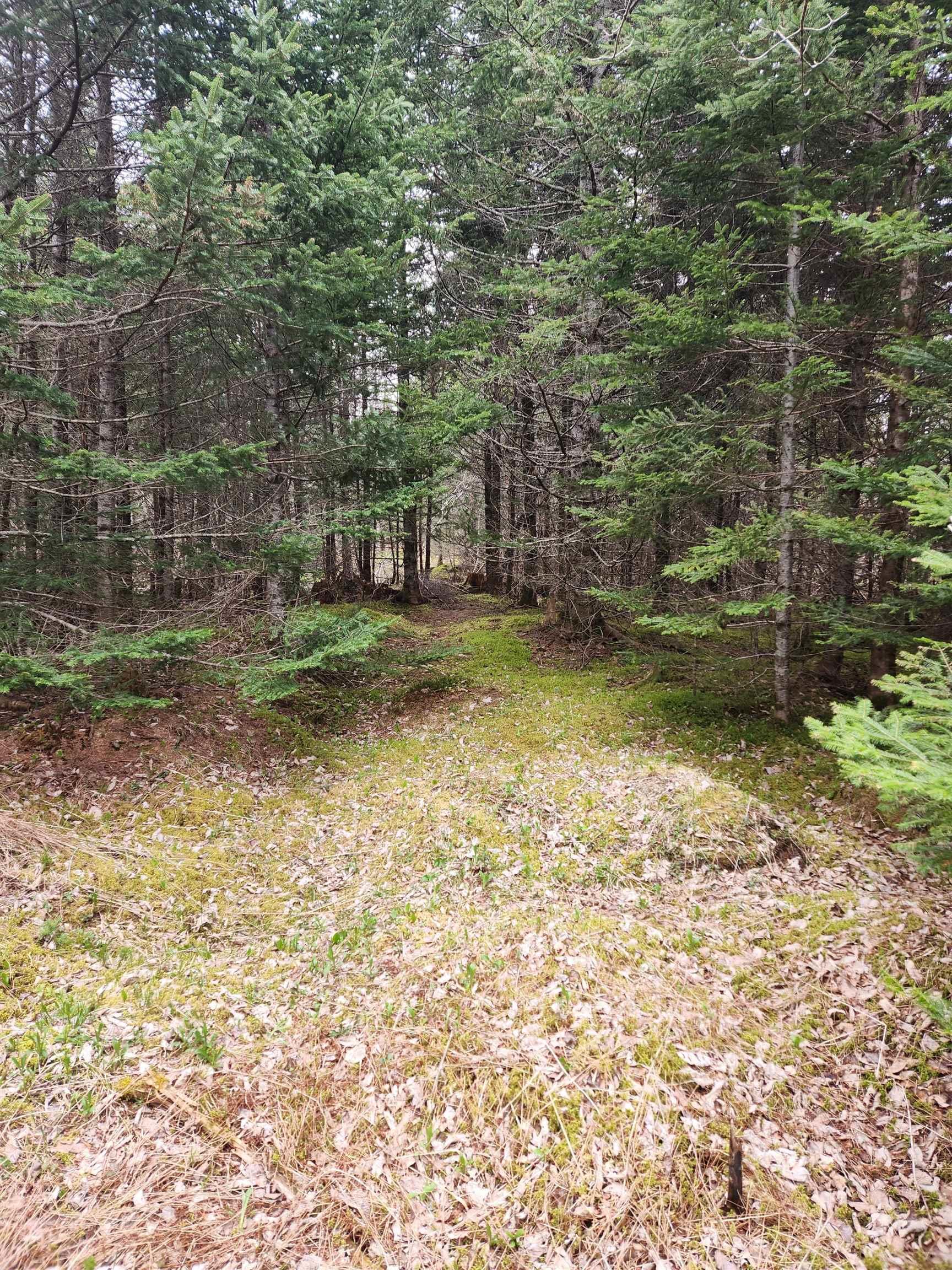 12892 Highway 224, Chaswood NS - MLS<sup>®</sup>: # 202410172