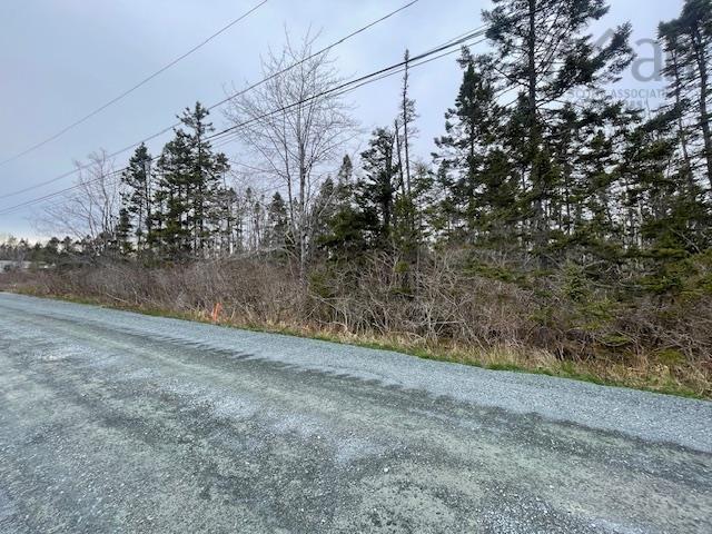 Lot Dc-4 56 Aspen Road, West Chezzetcook NS B0J 2L0 - MLS 202410310