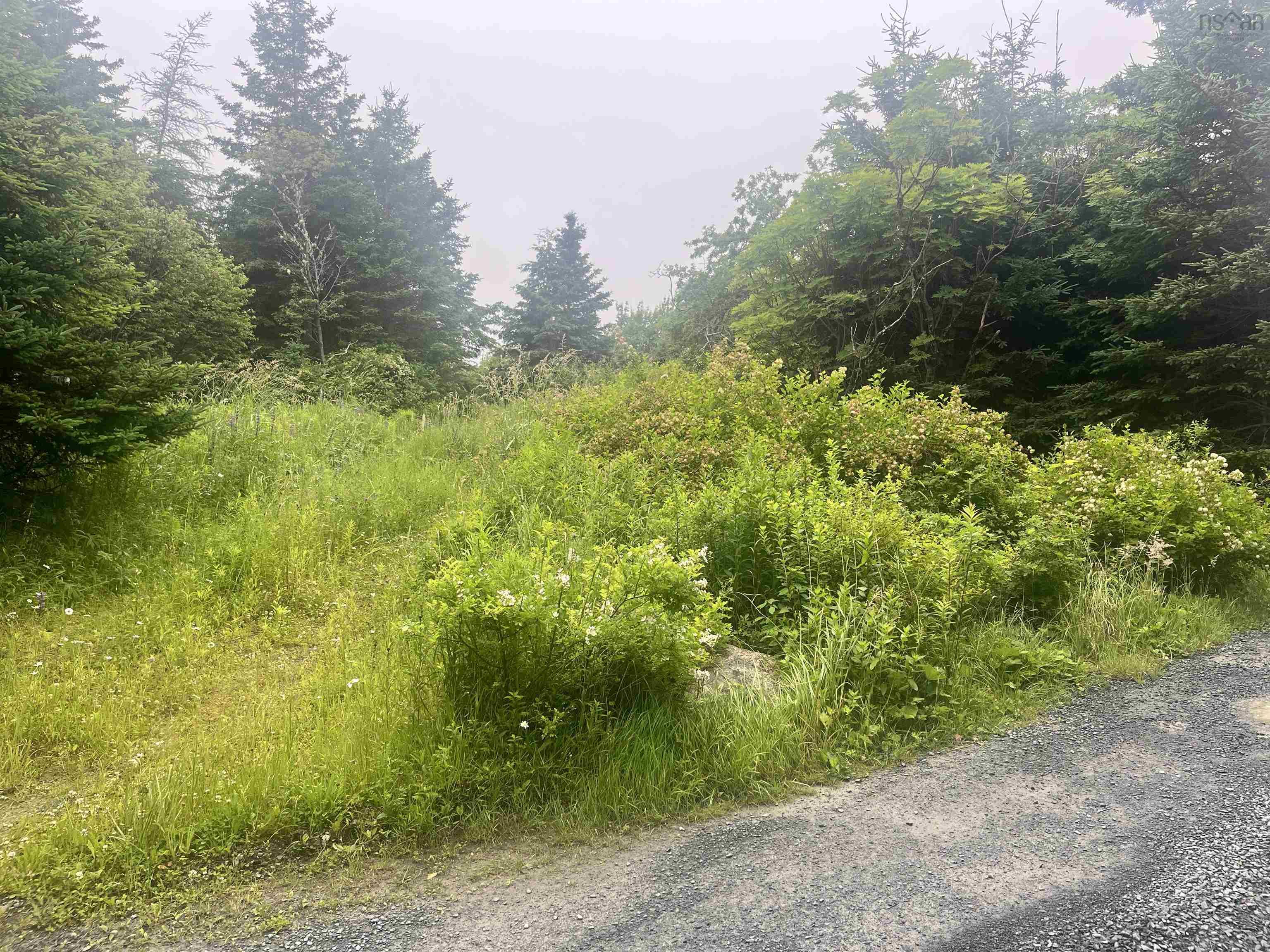 349 Bullfrog Lane, Bear Cove NS - MLS<sup>®</sup>: # 202416090