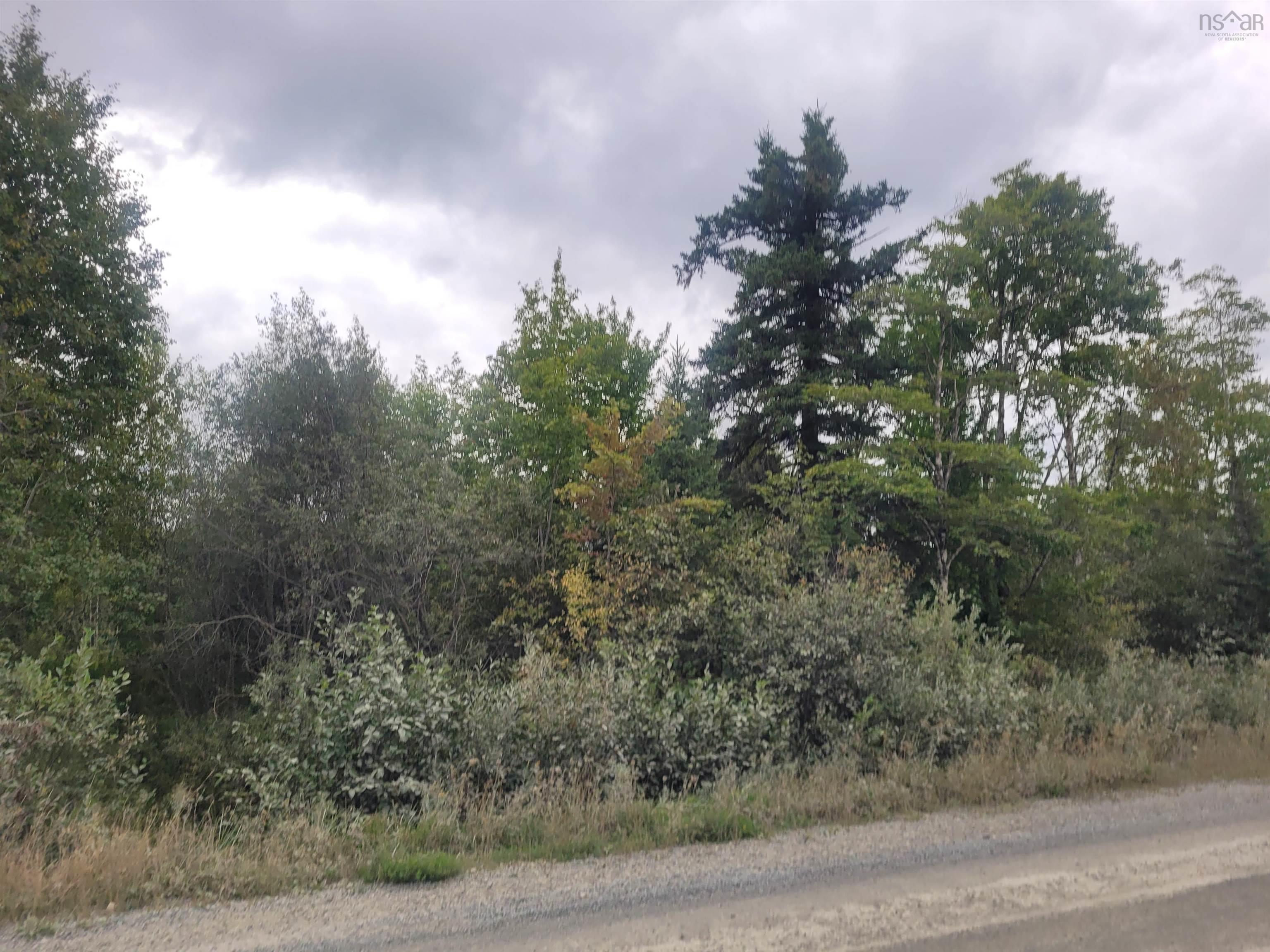 Lot 3 Blois Road, Macphees Corner NS B2S 1A2 - MLS 202421627