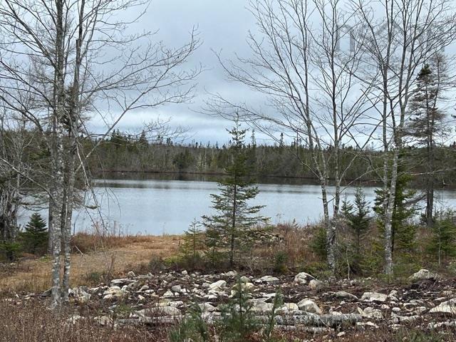 97 Harbour View Drive, Watt Section NS B0J 3B0 - MLS 202427499