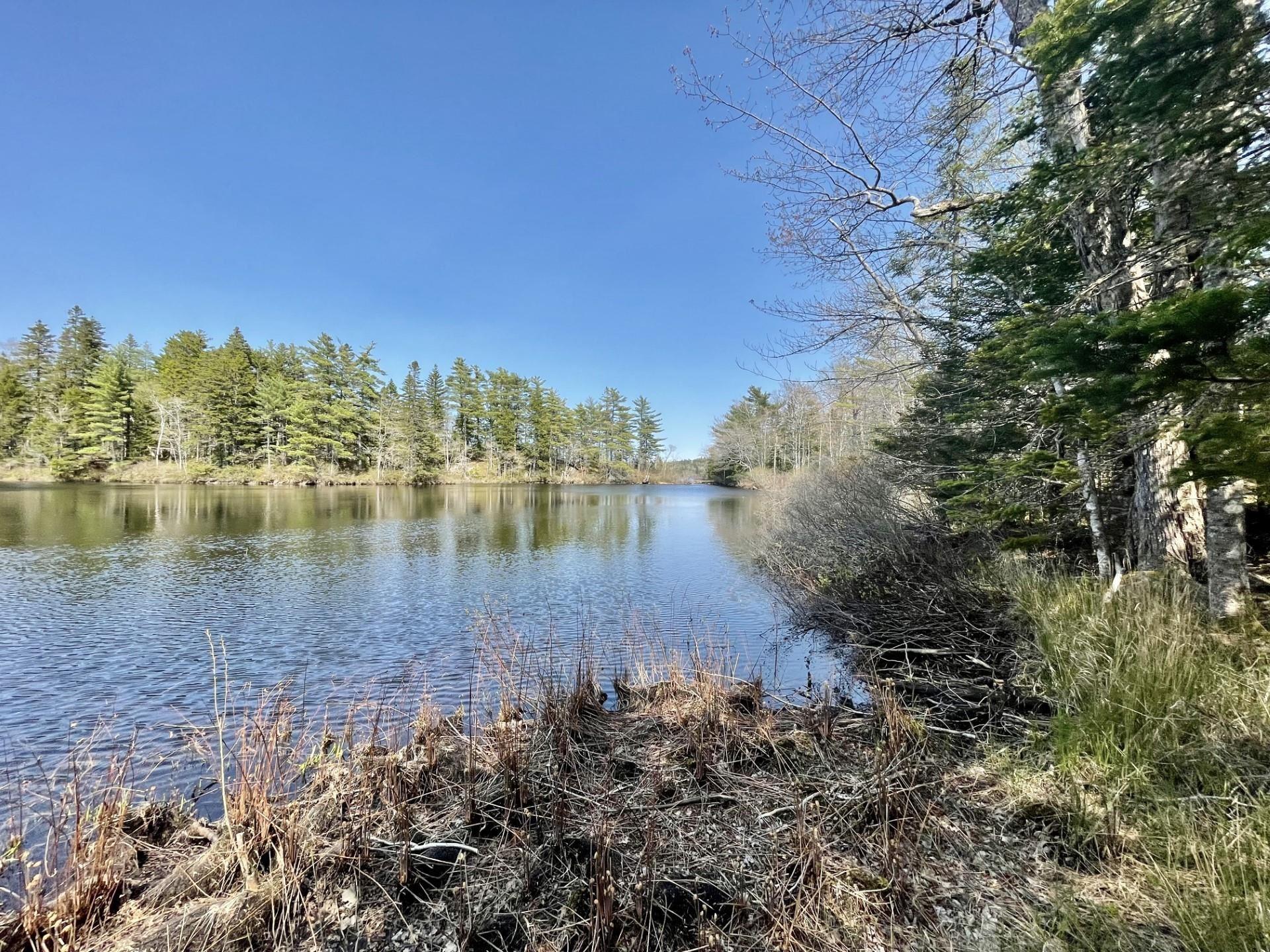 Lot 3 Pigott Lake Road, Lakelands NS B0N 1Z0 - MLS 202427682