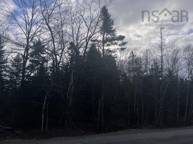 Coldstream Road, Gays River NS B0N 2H0 - MLS 202427794