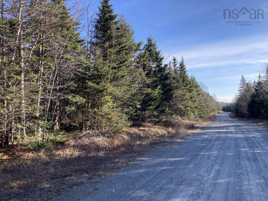 Dufferin Mines Road, Port Dufferin NS B0J 2R0 - MLS 202501277