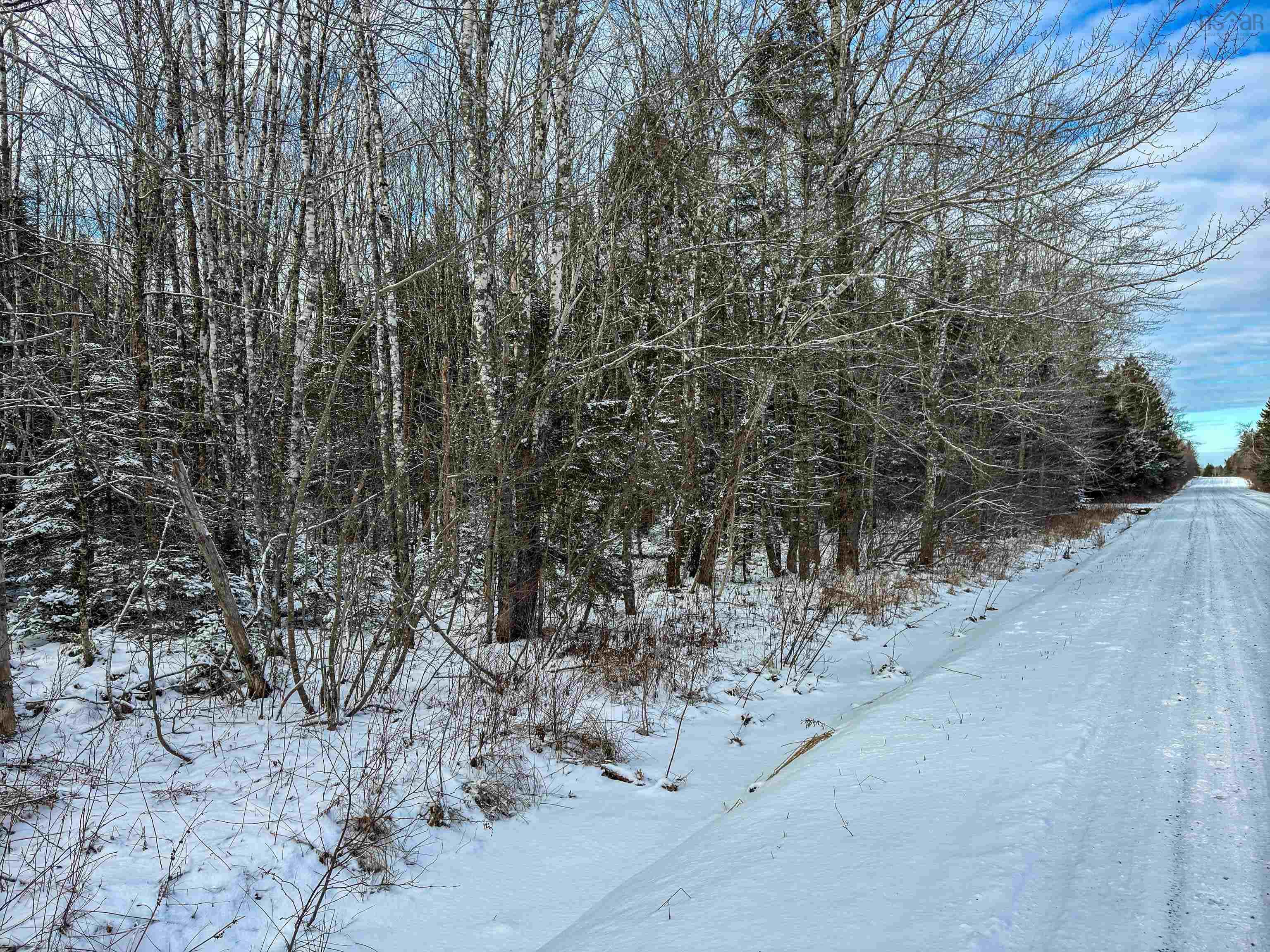 1596 Barr Settlement Road, Barr Settlement NS B0N 2H0 - MLS 202501707