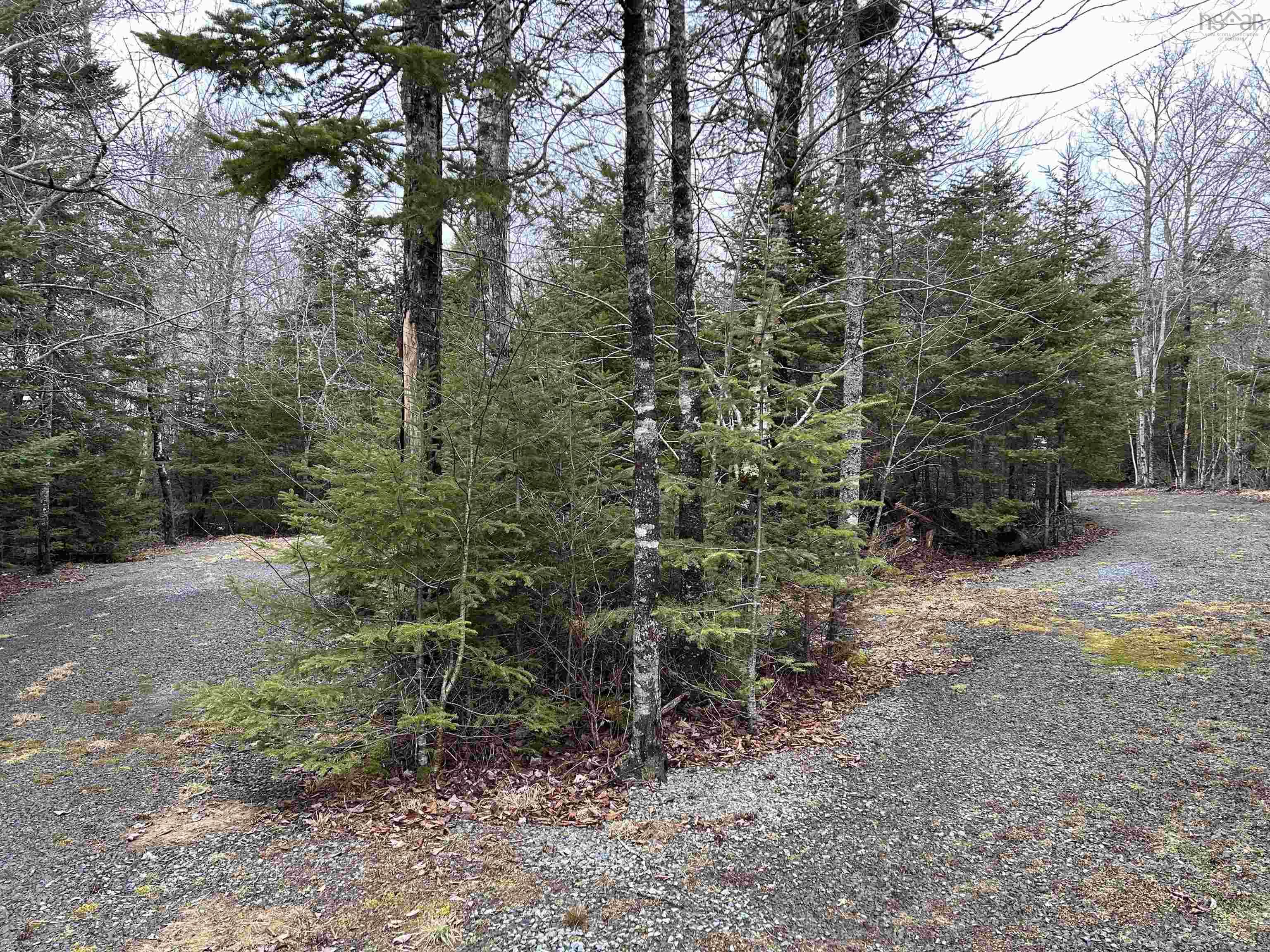 3410 Old Guysborough Road, Devon NS B2T 1K8 - MLS 202506990