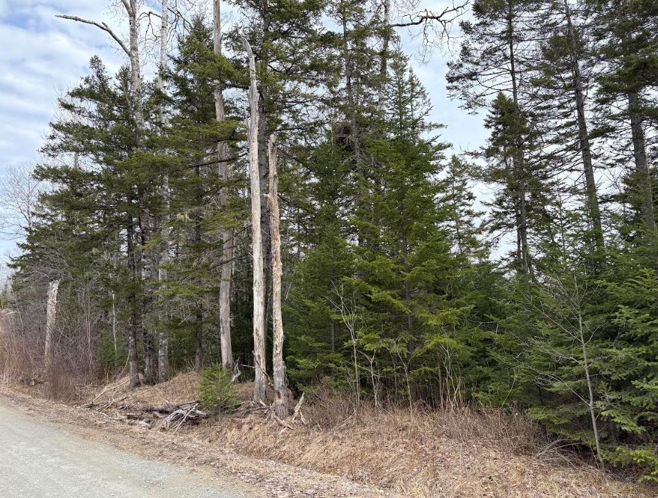 Lot 1-Ab Renfrew Road, Nine Mile River NS B2S 2W5 - MLS 202507542