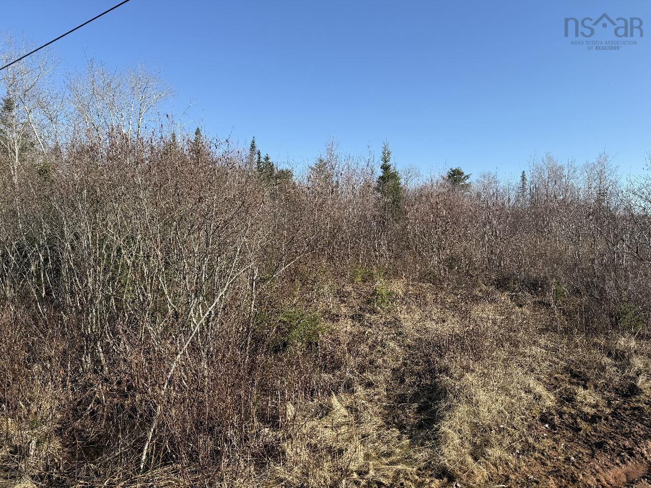 Lot 7 Hickory Lane, Rines Creek NS B0N 2H0 - MLS 202508266