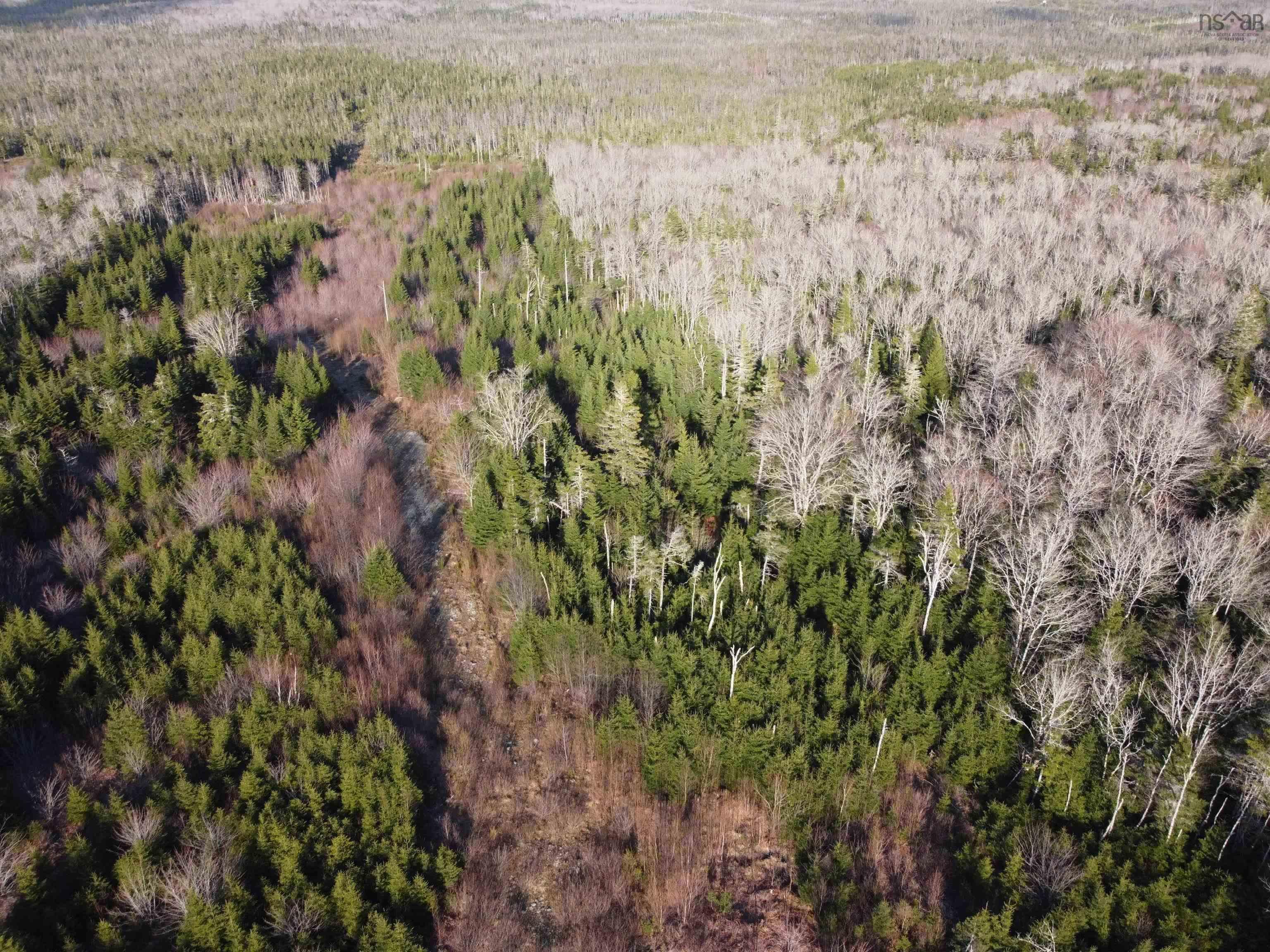 Lot 22 & 23 Trafalgar Rd Highway 374, Sheet Harbour NS B0J 3B0 - MLS 202509114