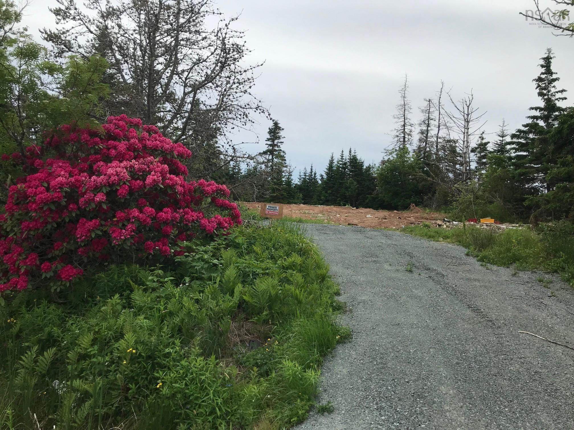 90 Causeway Road, Seaforth NS - MLS<sup>®</sup>: # 202509775