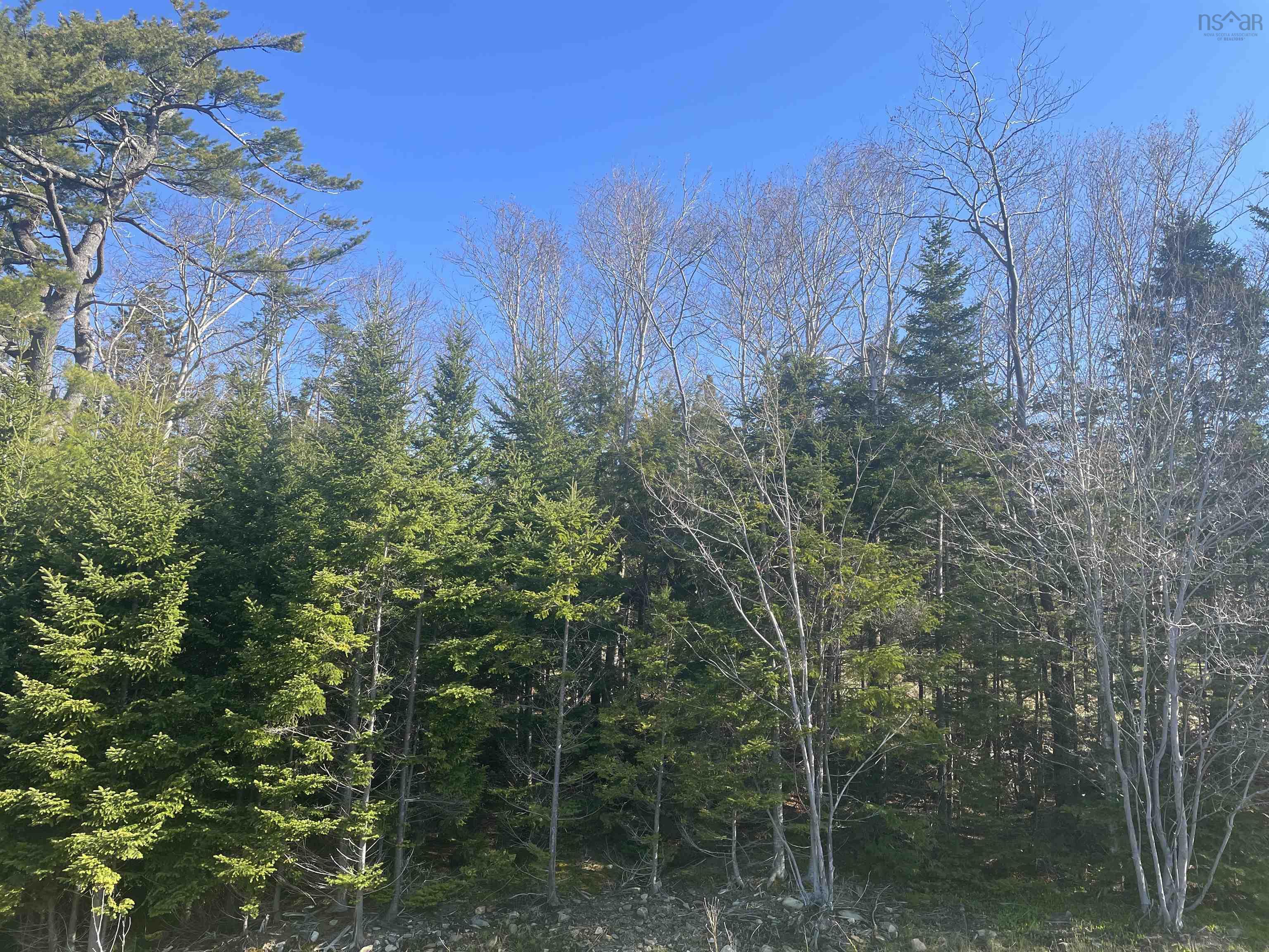 Lot R1 Ab Old Mill Road, Hammonds Plains NS B3Z 1K3 - MLS 202510352