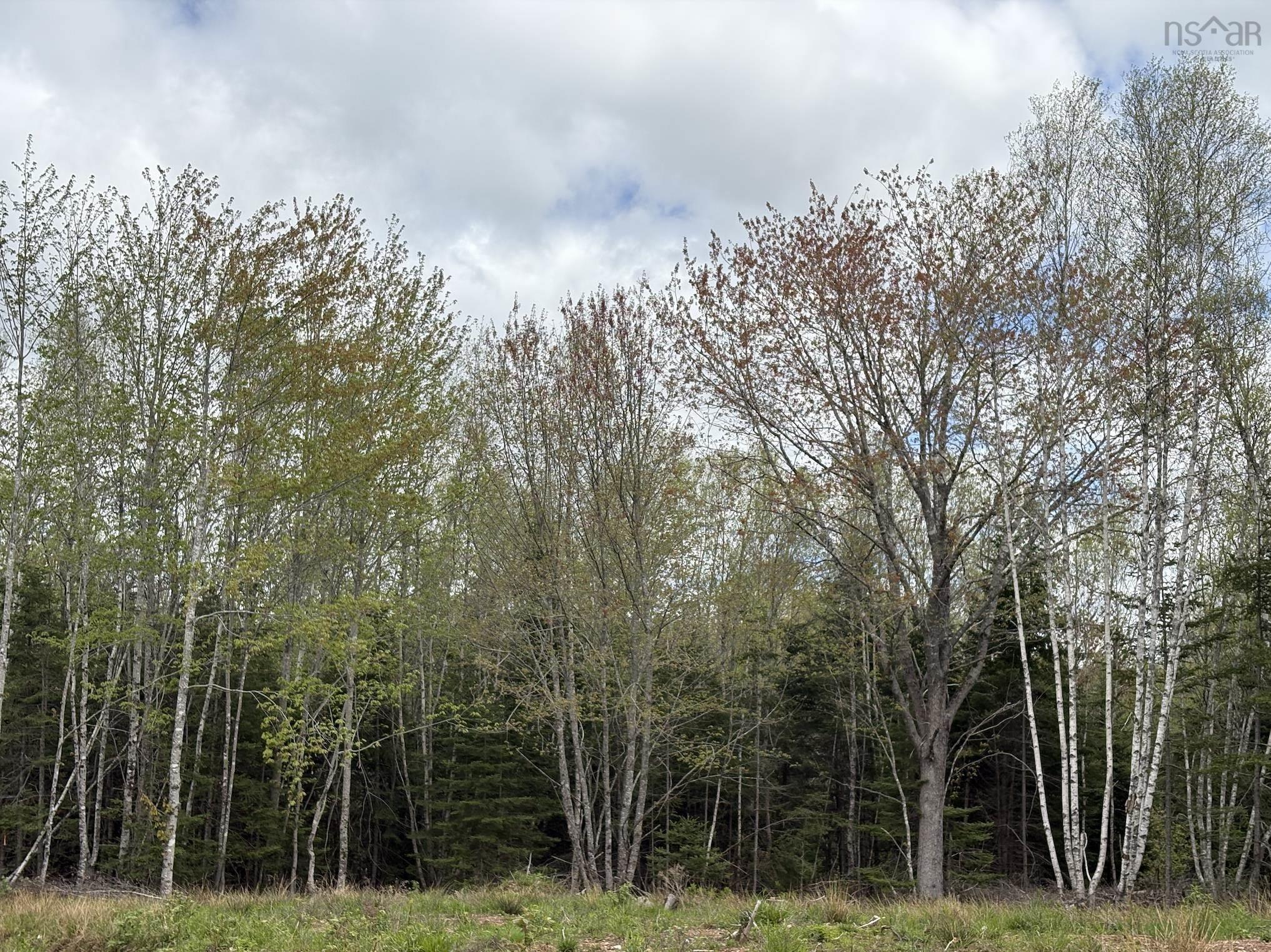 Lot 3 Highway 14, Upper Nine Mile River NS B2S 2Z3 - MLS 202513465