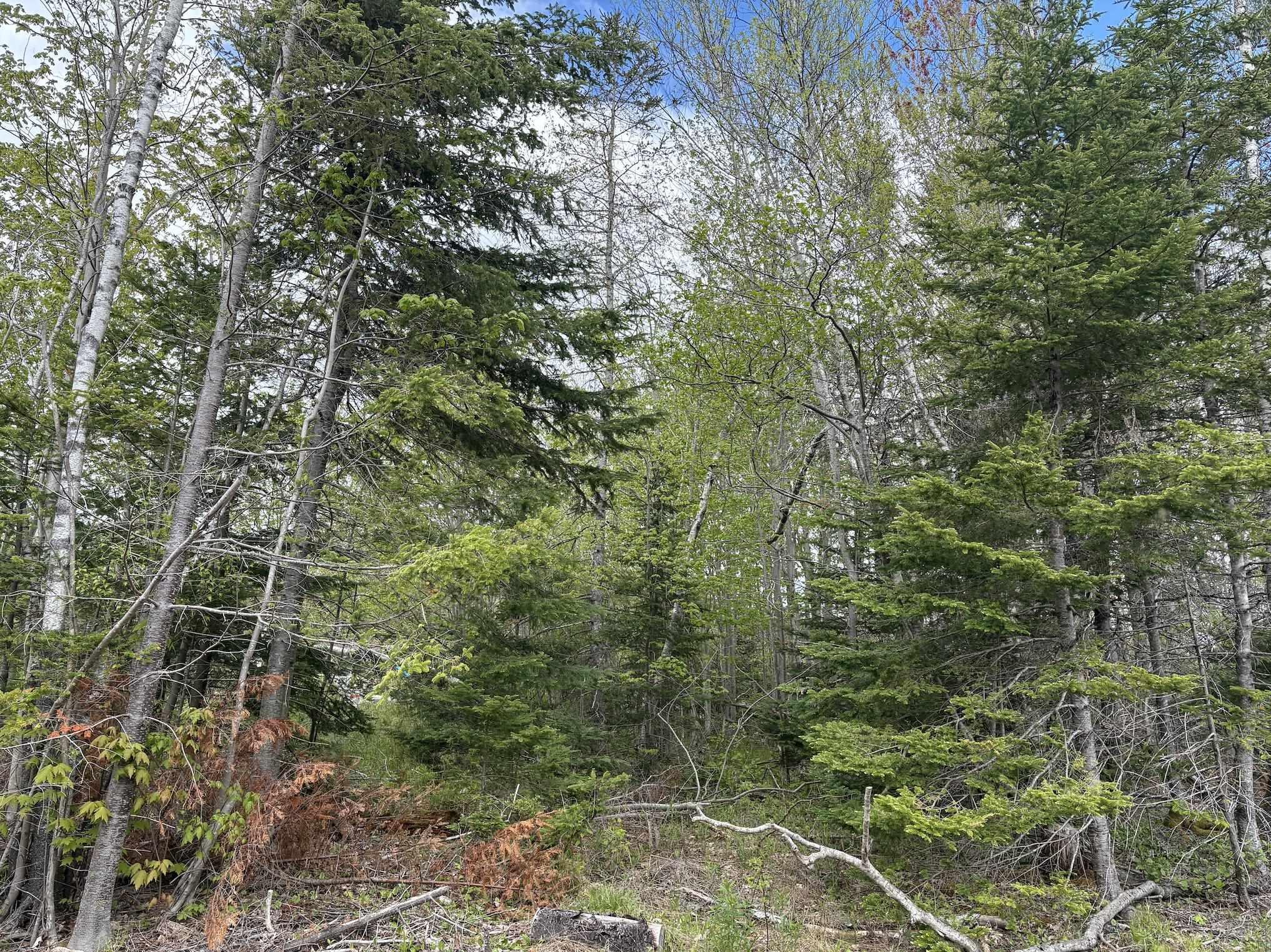 Lot 5 Highway 14, Upper Nine Mile River NS B2S 2Z3 - MLS 202513466