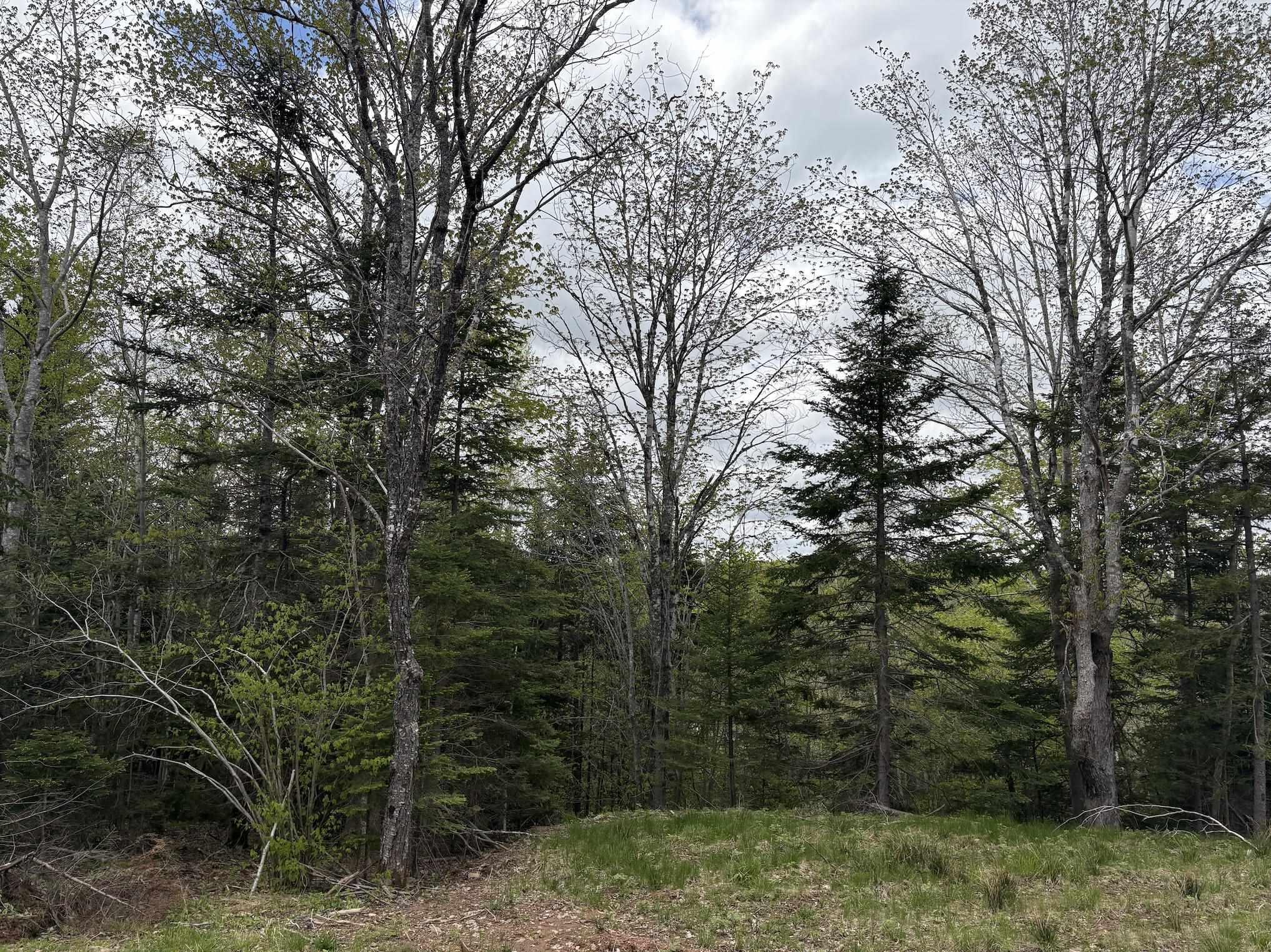 Lot 4 Highway 14, Upper Nine Mile River NS B2S 2Z3 - MLS 202513467
