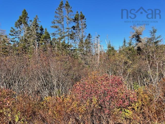 0 West Ship Harbour Road, Owls Head NS - MLS<sup>®</sup>: # 202514365