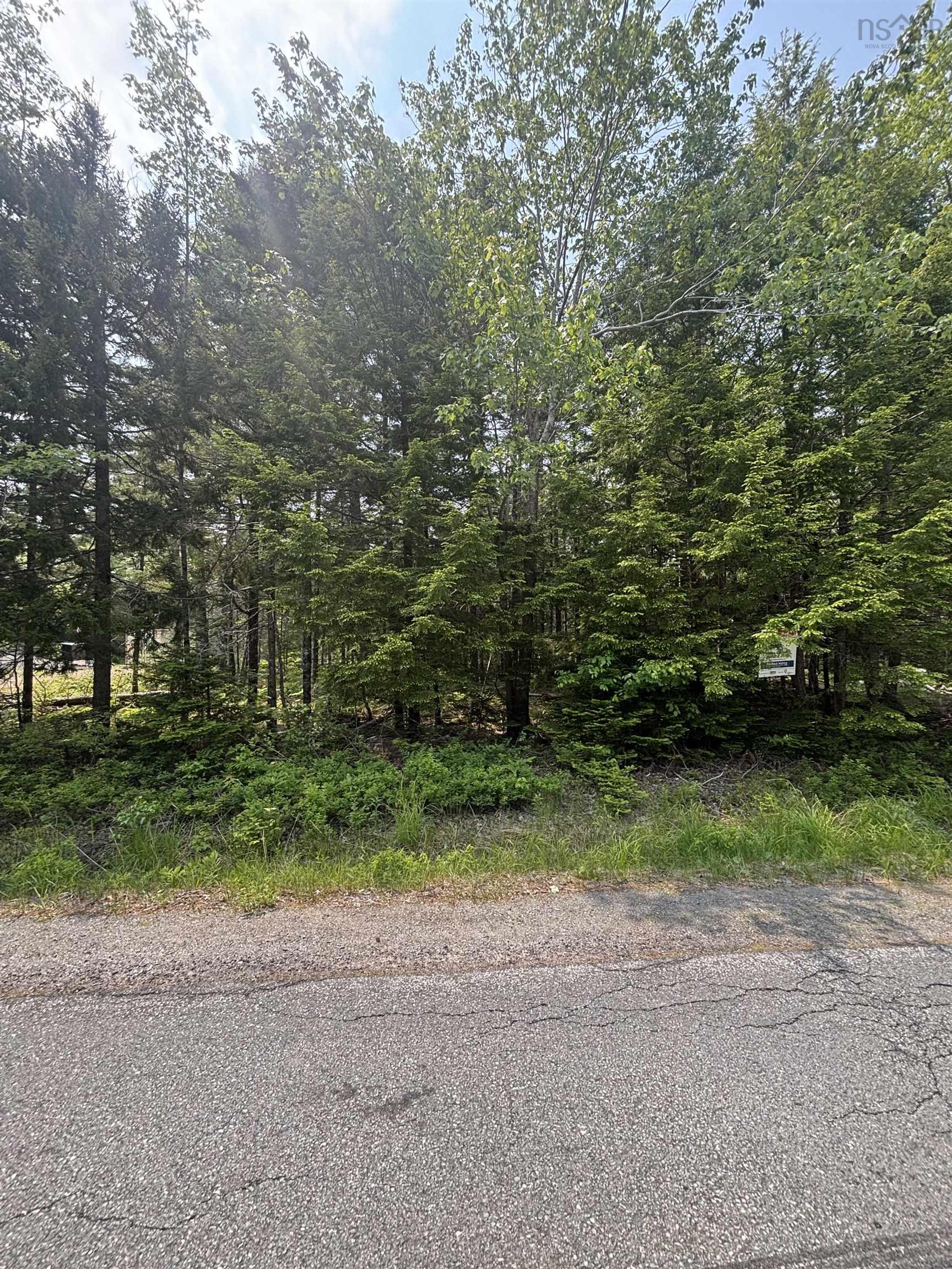Lot 6 Cooks Lake Road, Cooks Brook NS B0N 1X0 - MLS 202514472