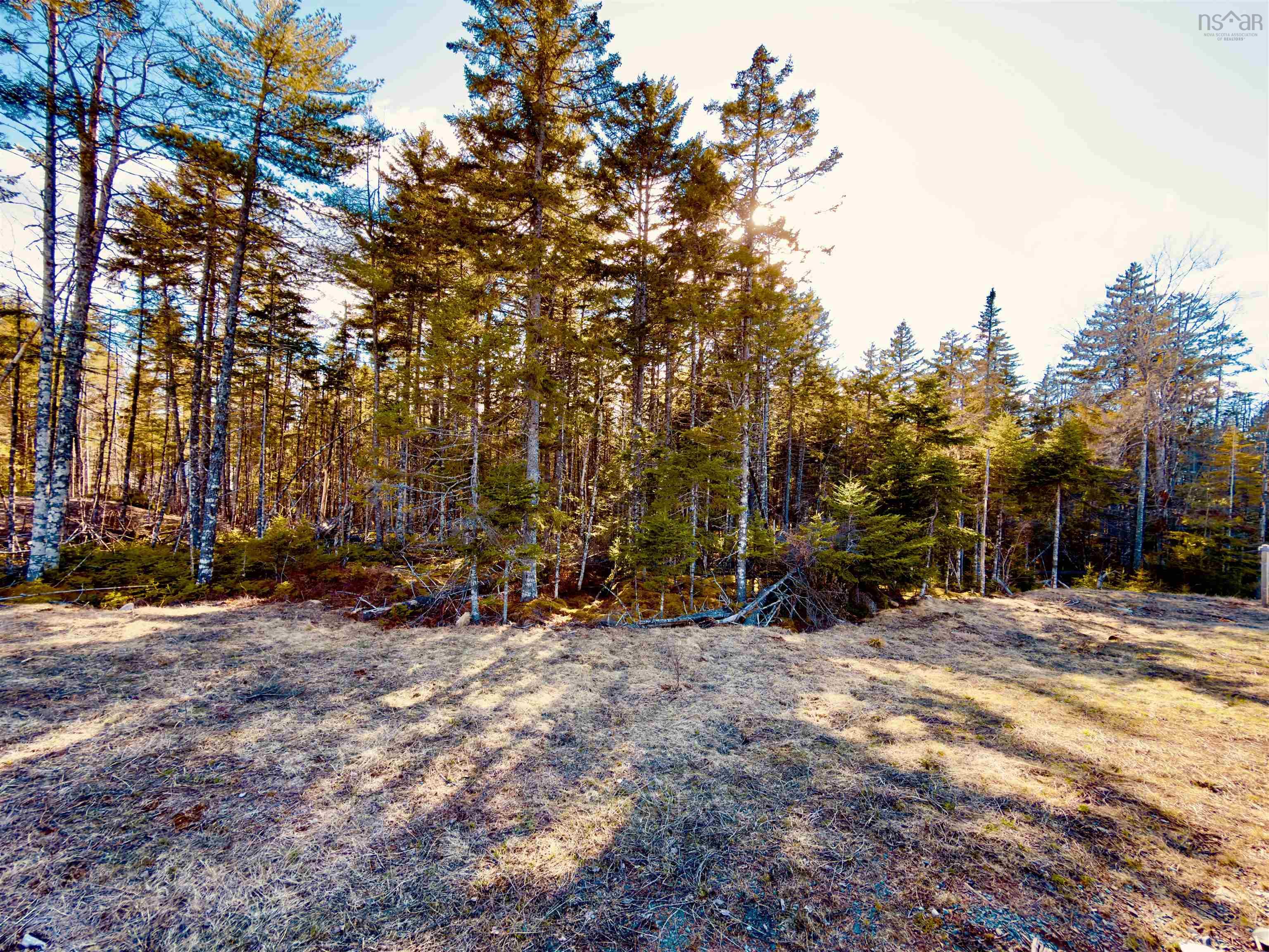 View image 9