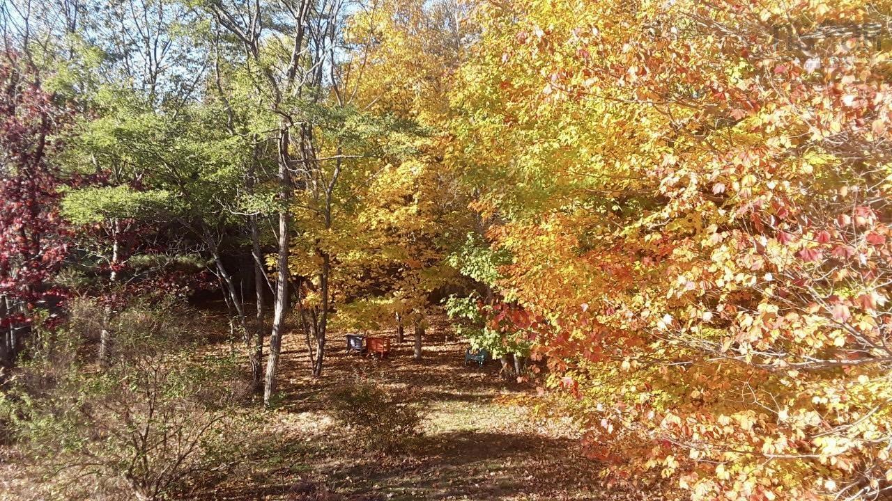 Thumbnail image for 959 Highway 202 MLS<sup>®</sup> 202528038