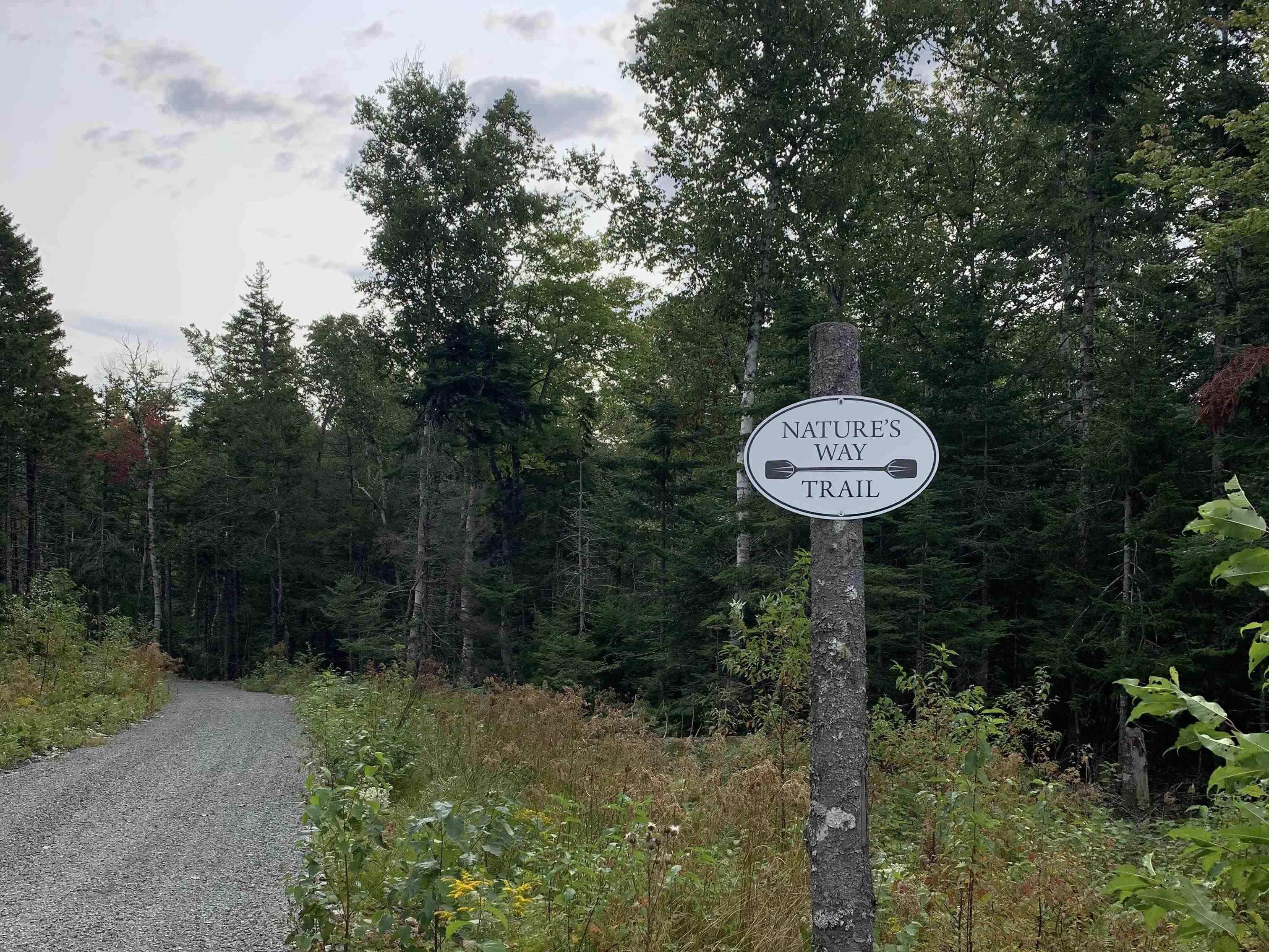 View image 11