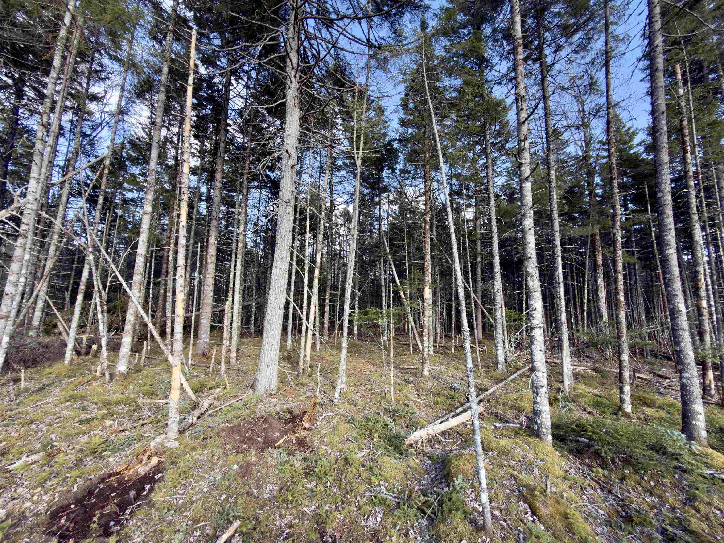 View image 8