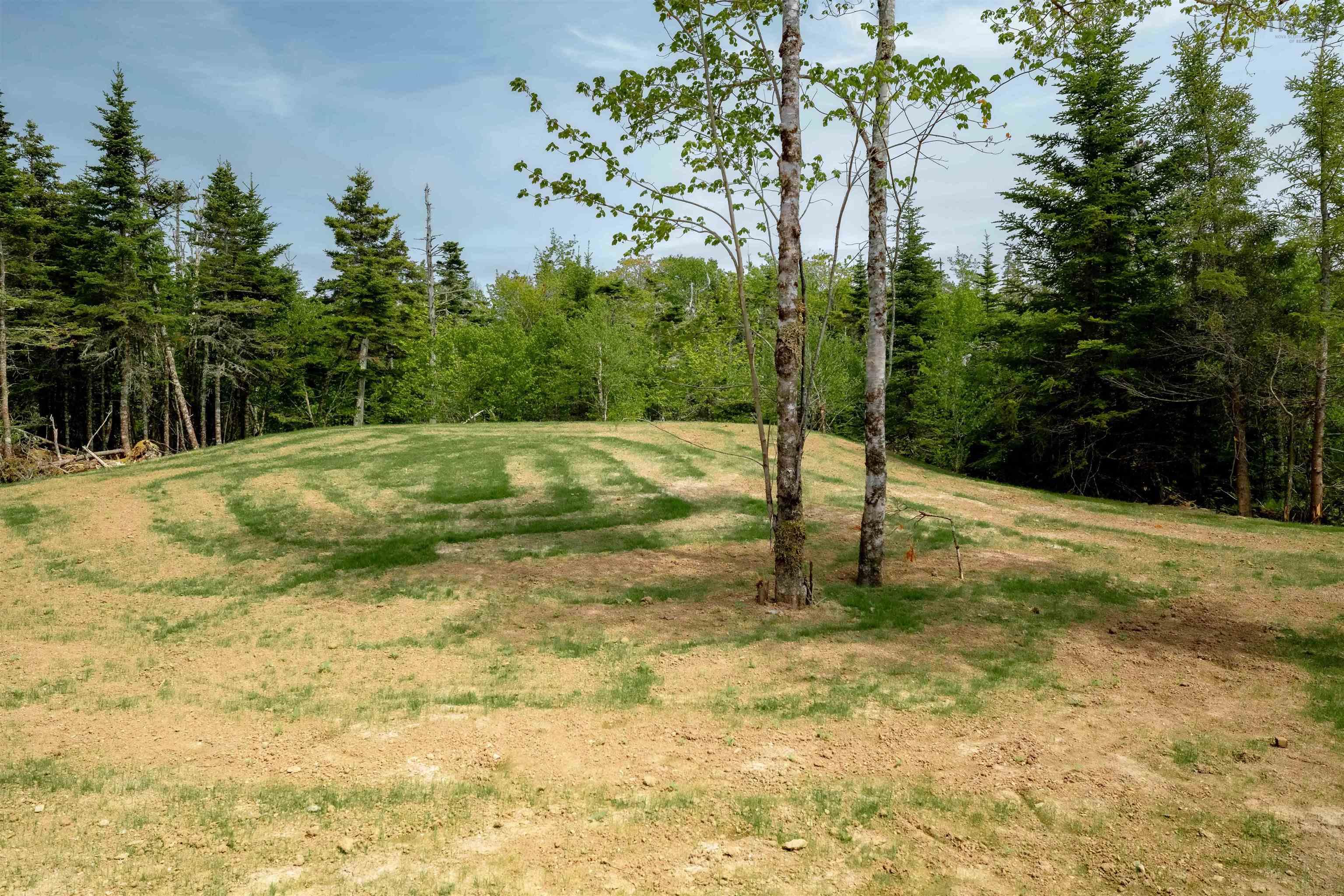 View image 31