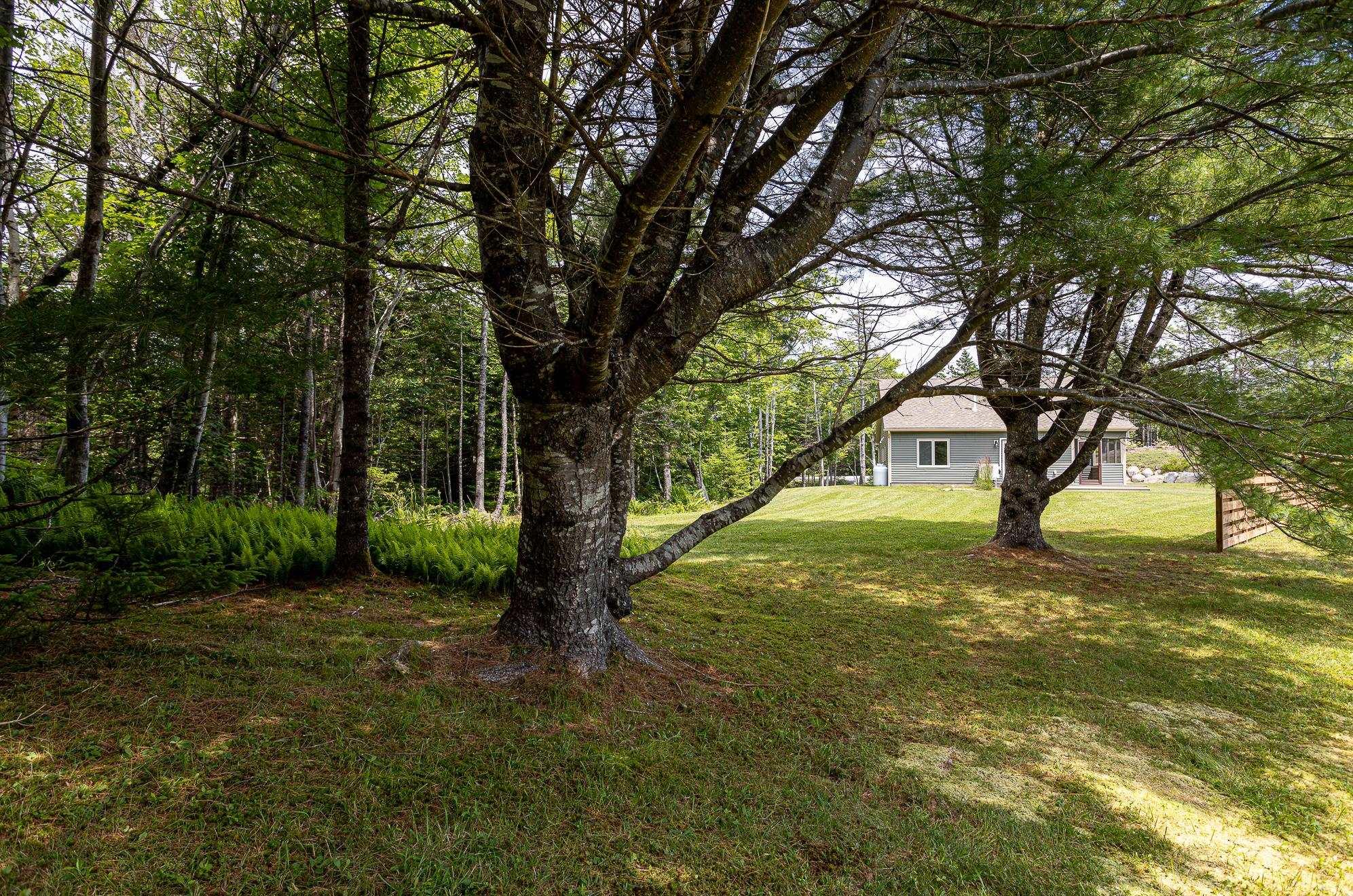 View image 50