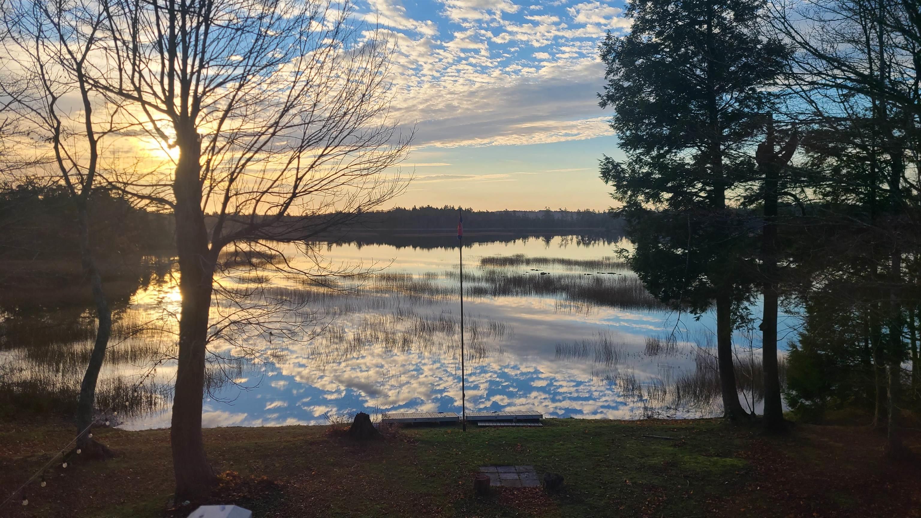 View image 40