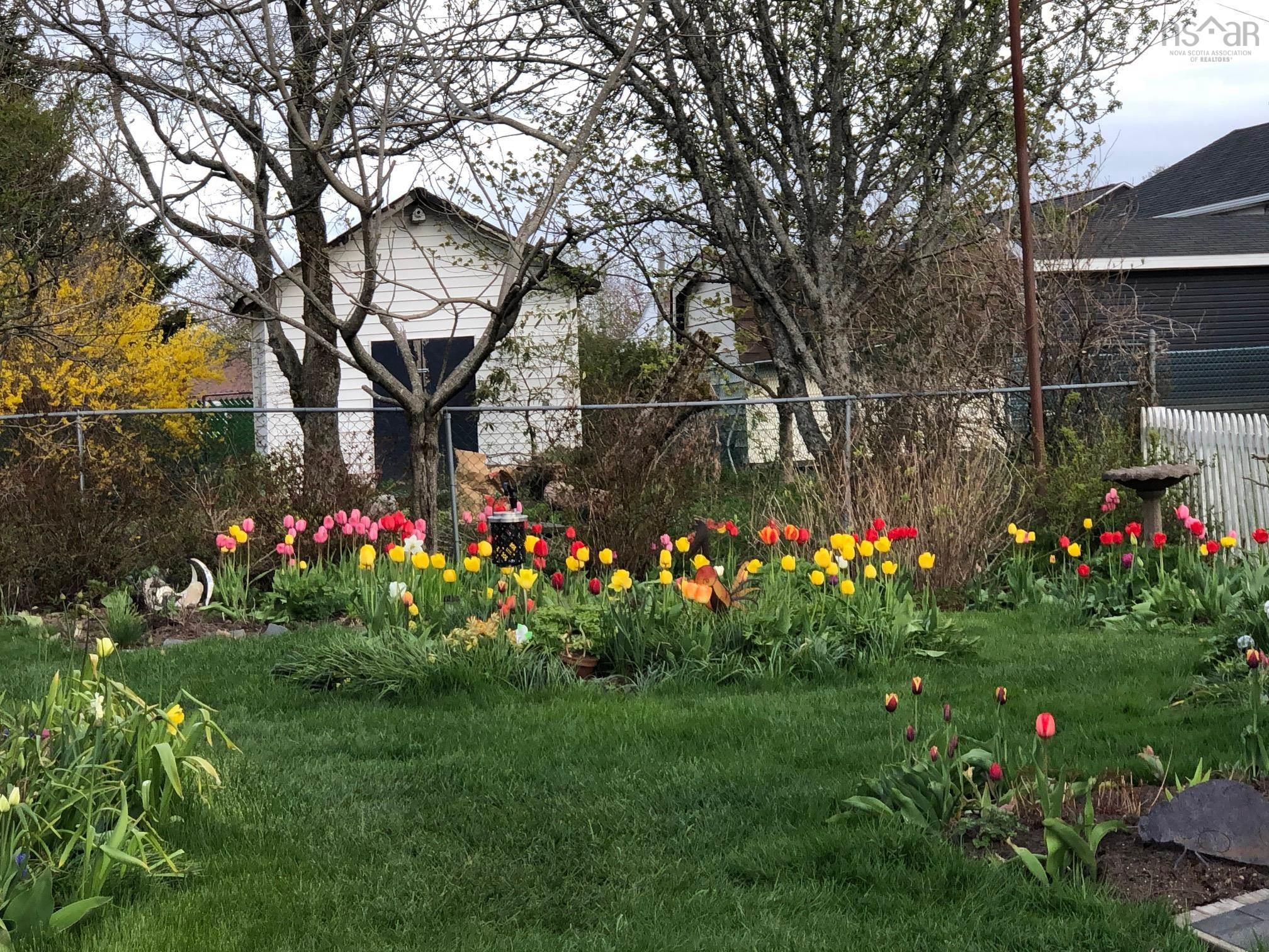 View image 49