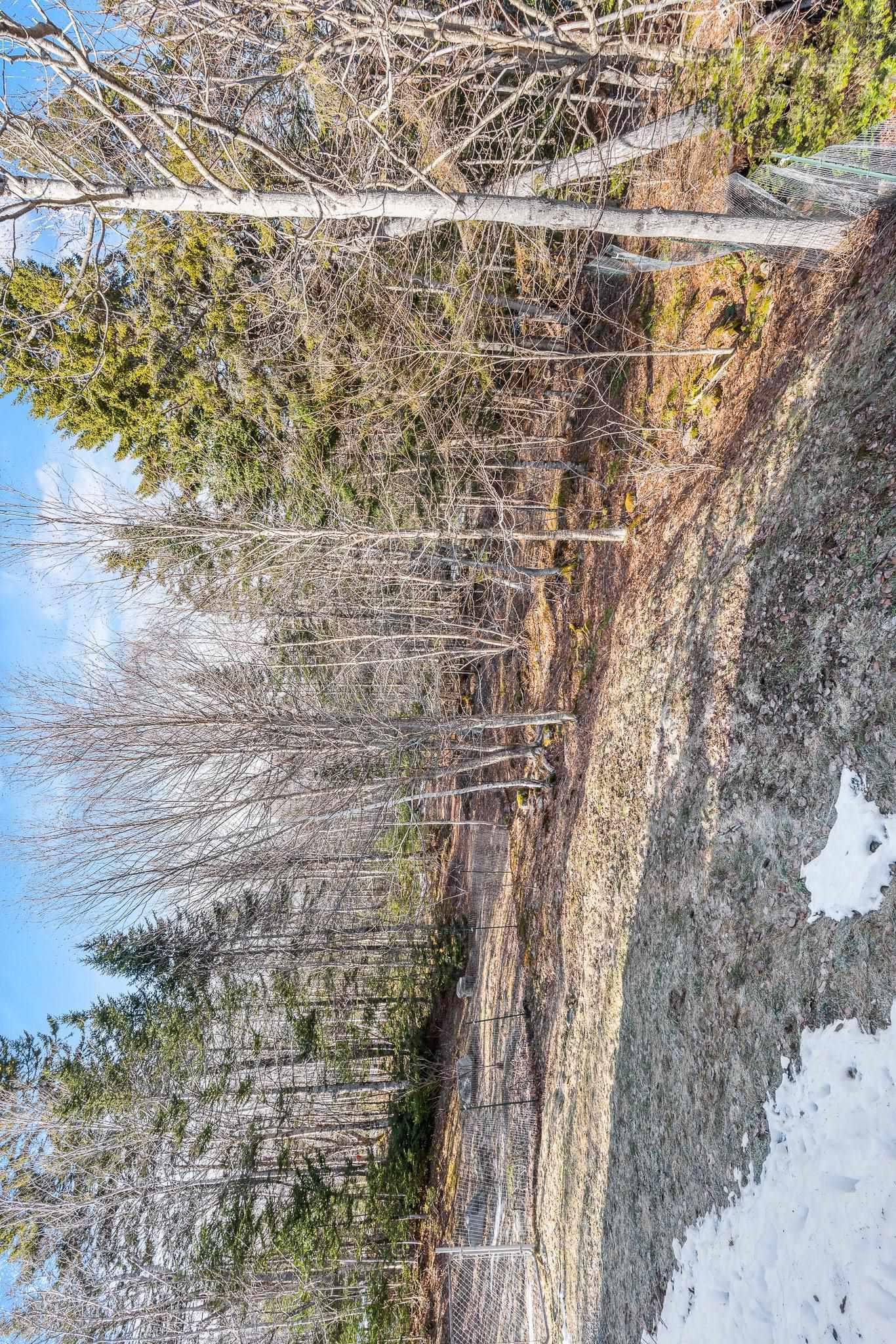 View image 24