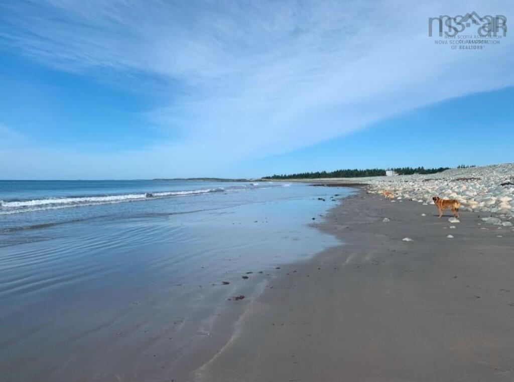 View image 11