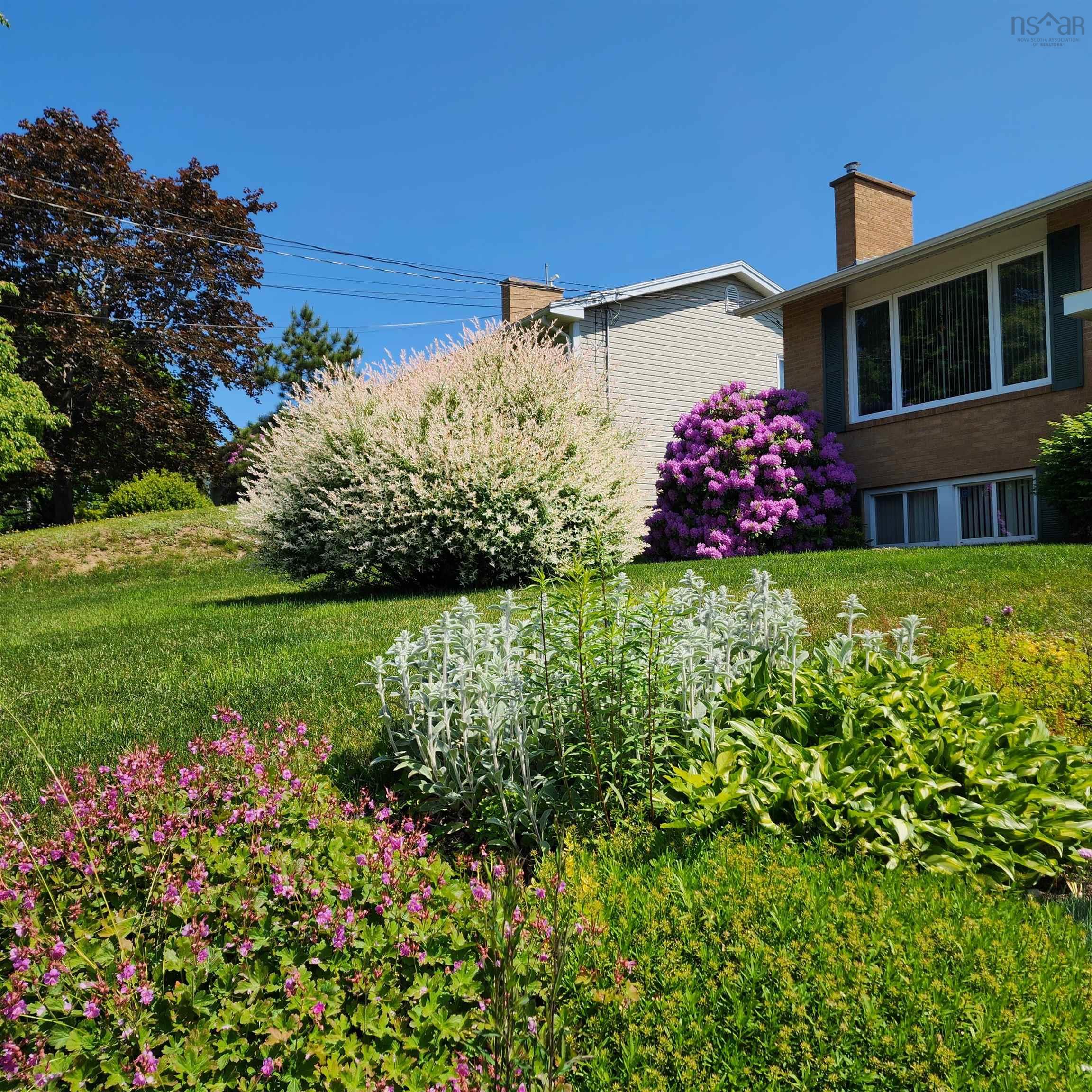 View image 37