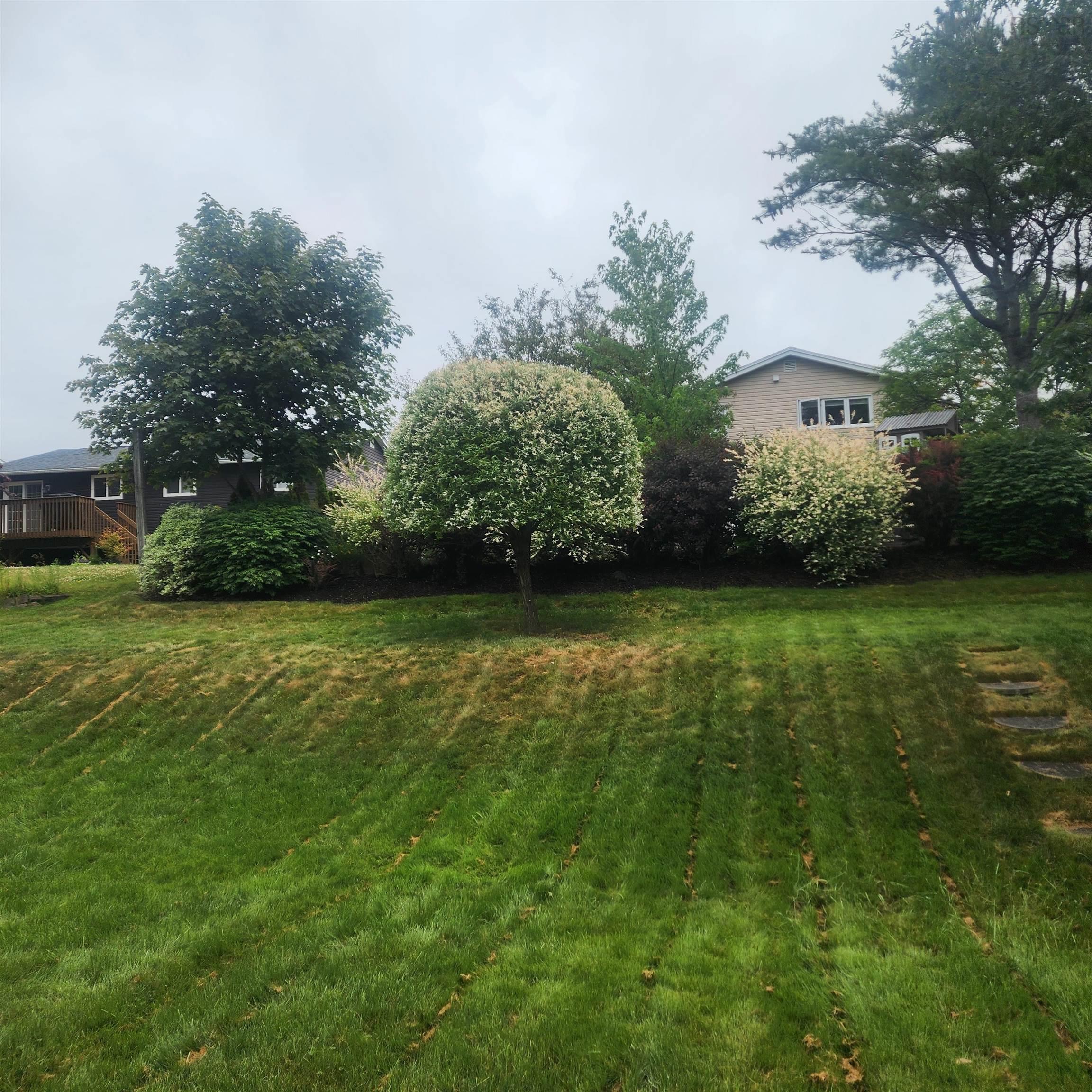 View image 40