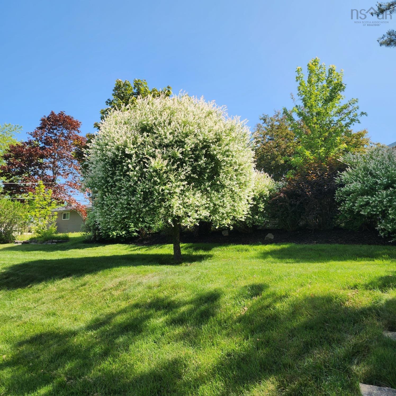 View image 41