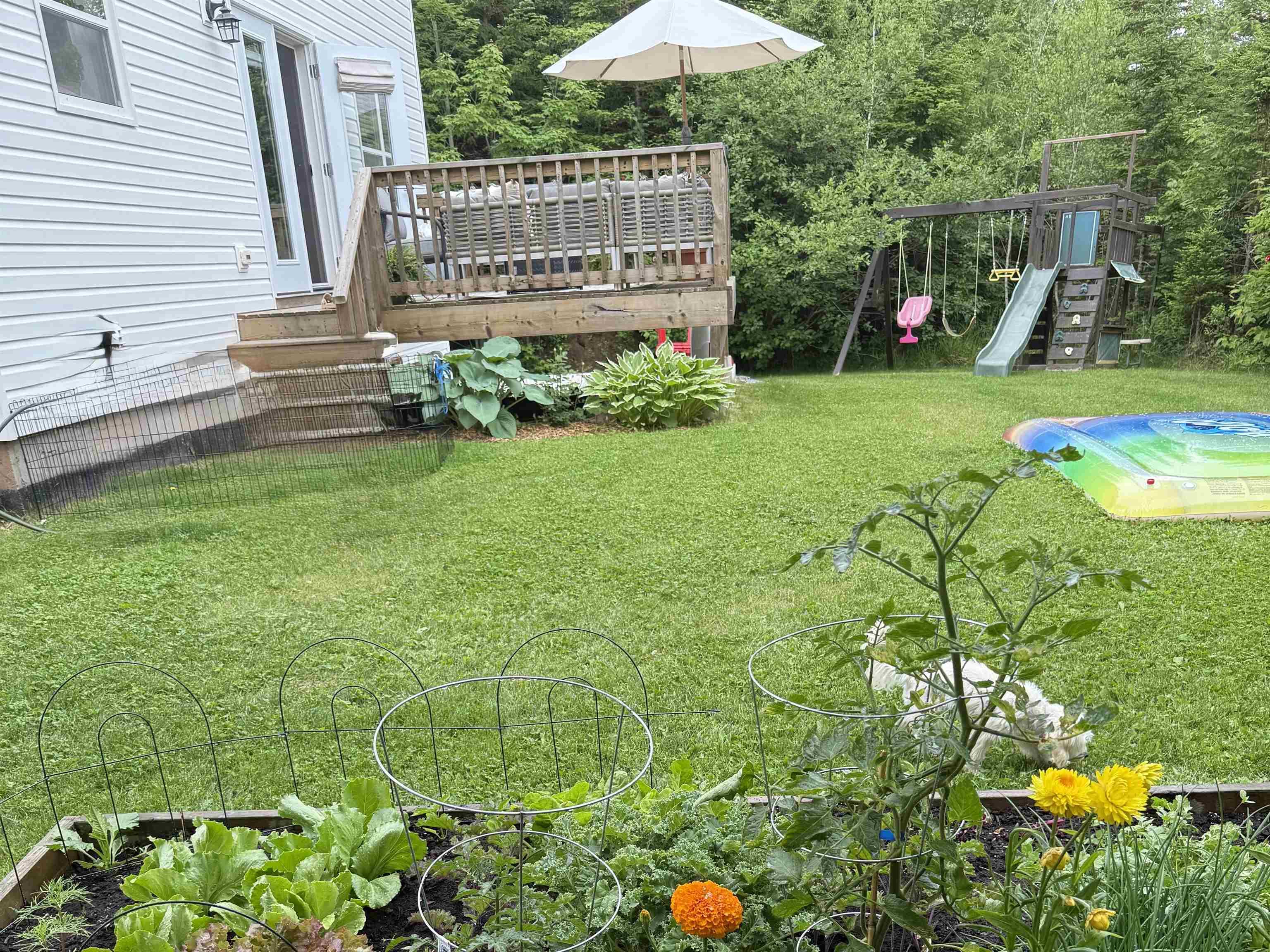 View image 43