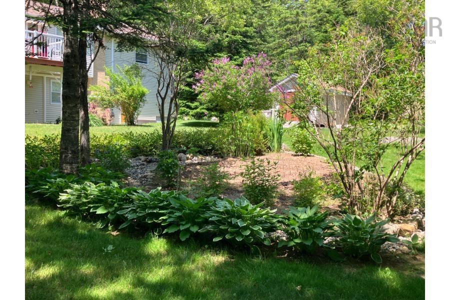 View image 43