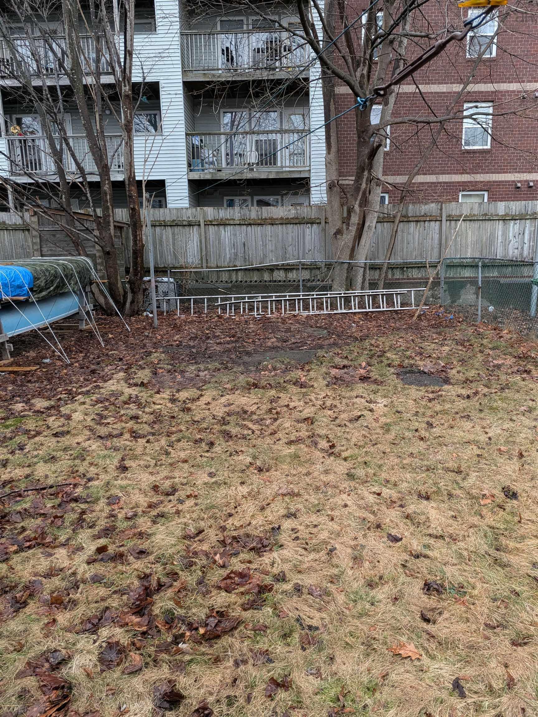 View image 40