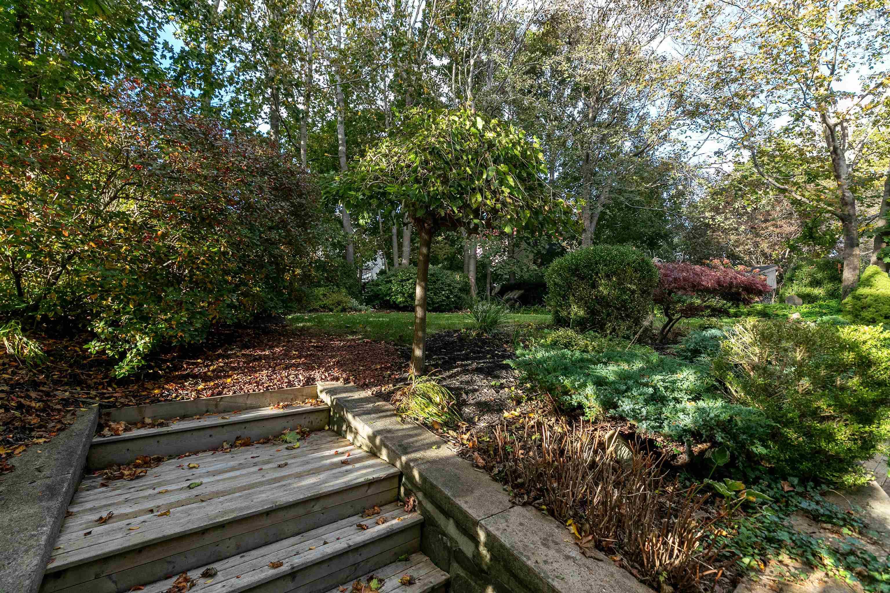 View image 36