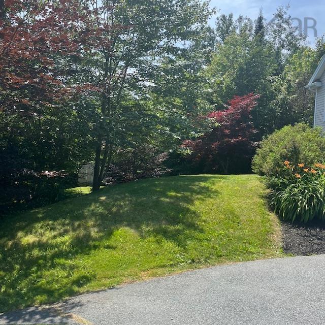 View image 13