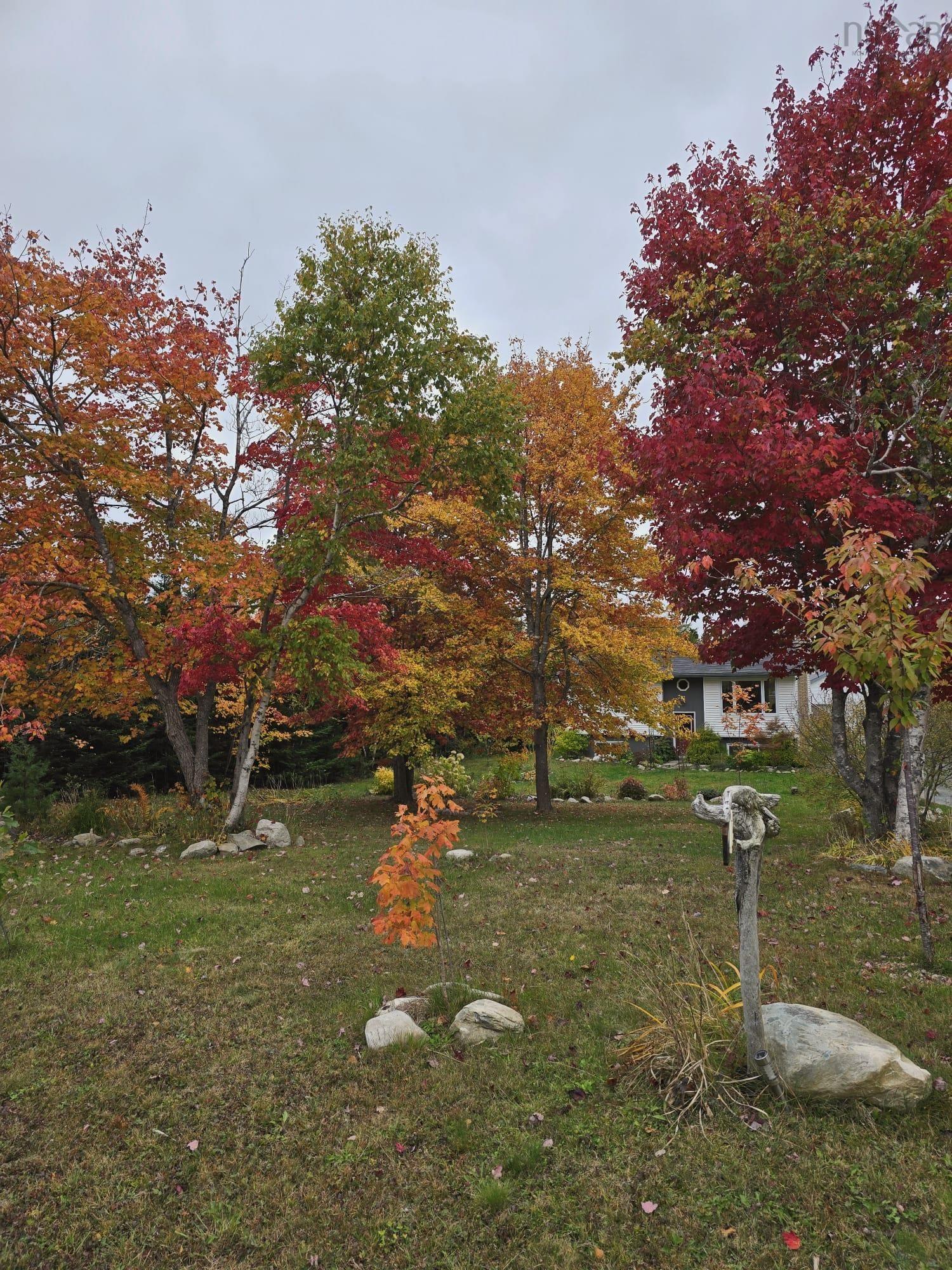 View image 38