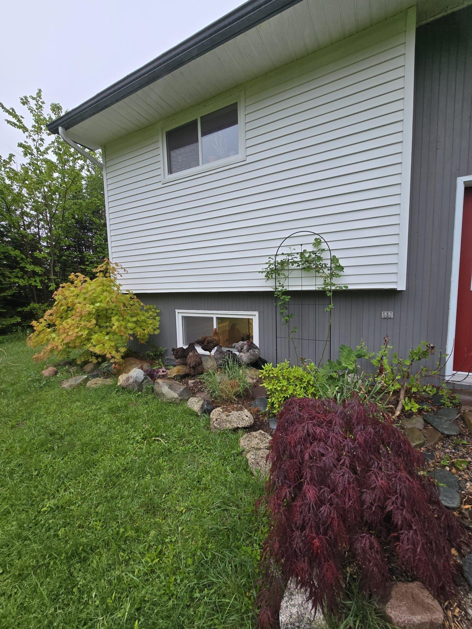 View image 39
