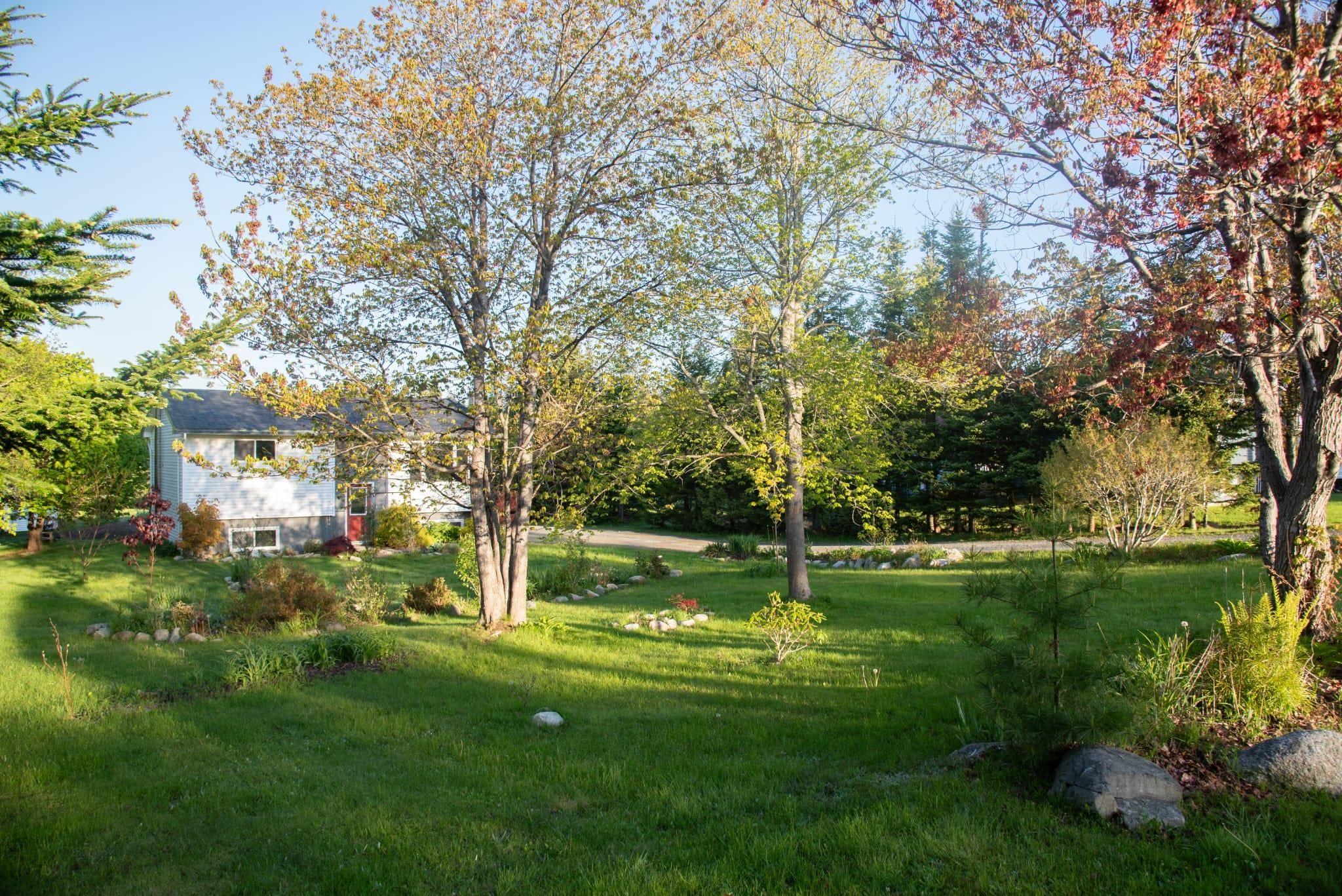 View image 5