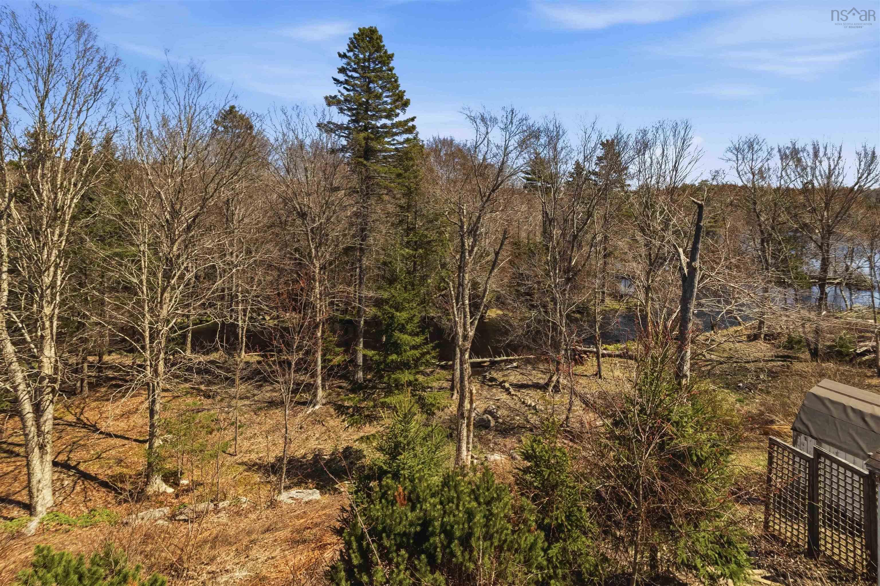 View image 40