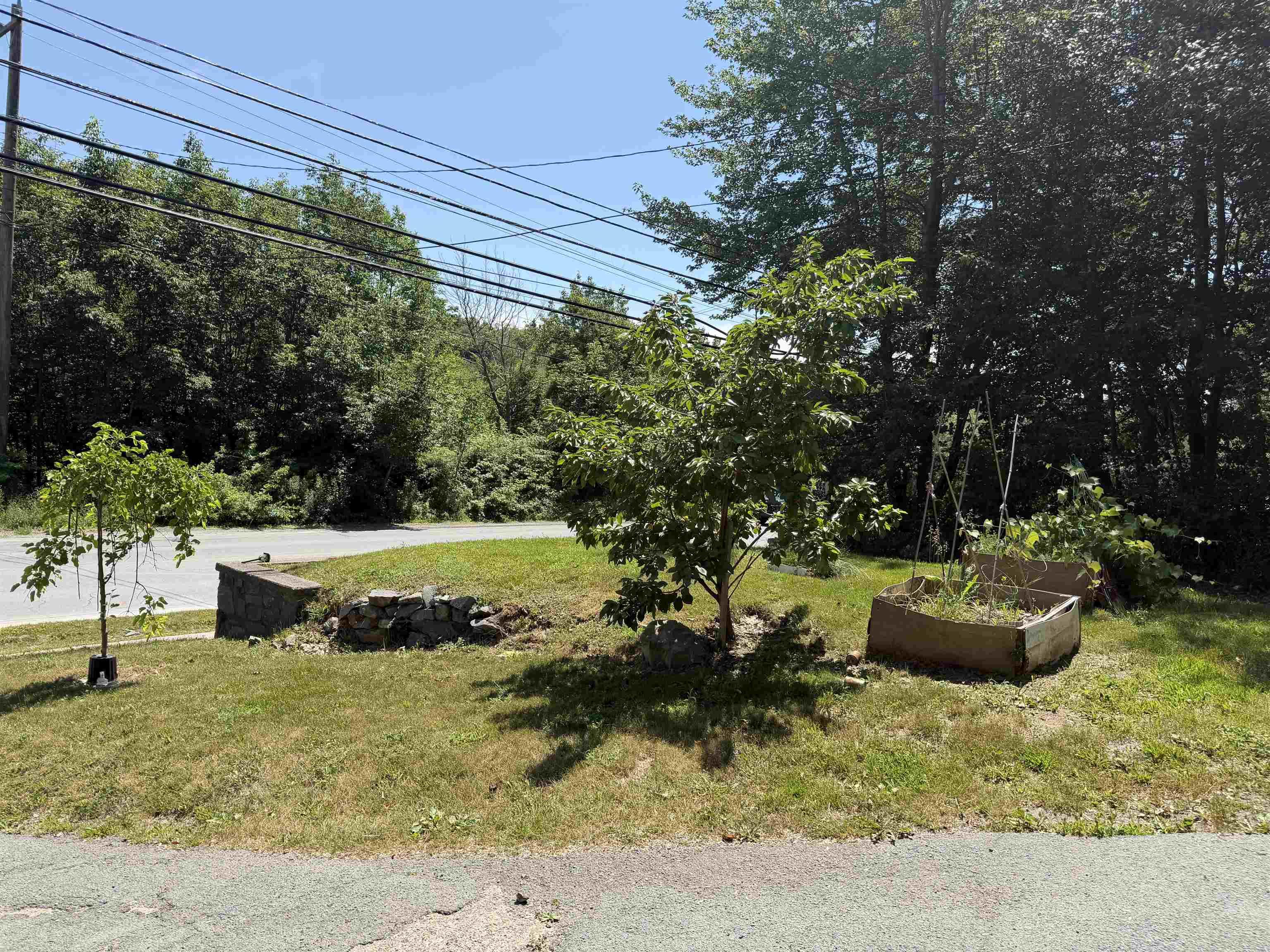 View image 41