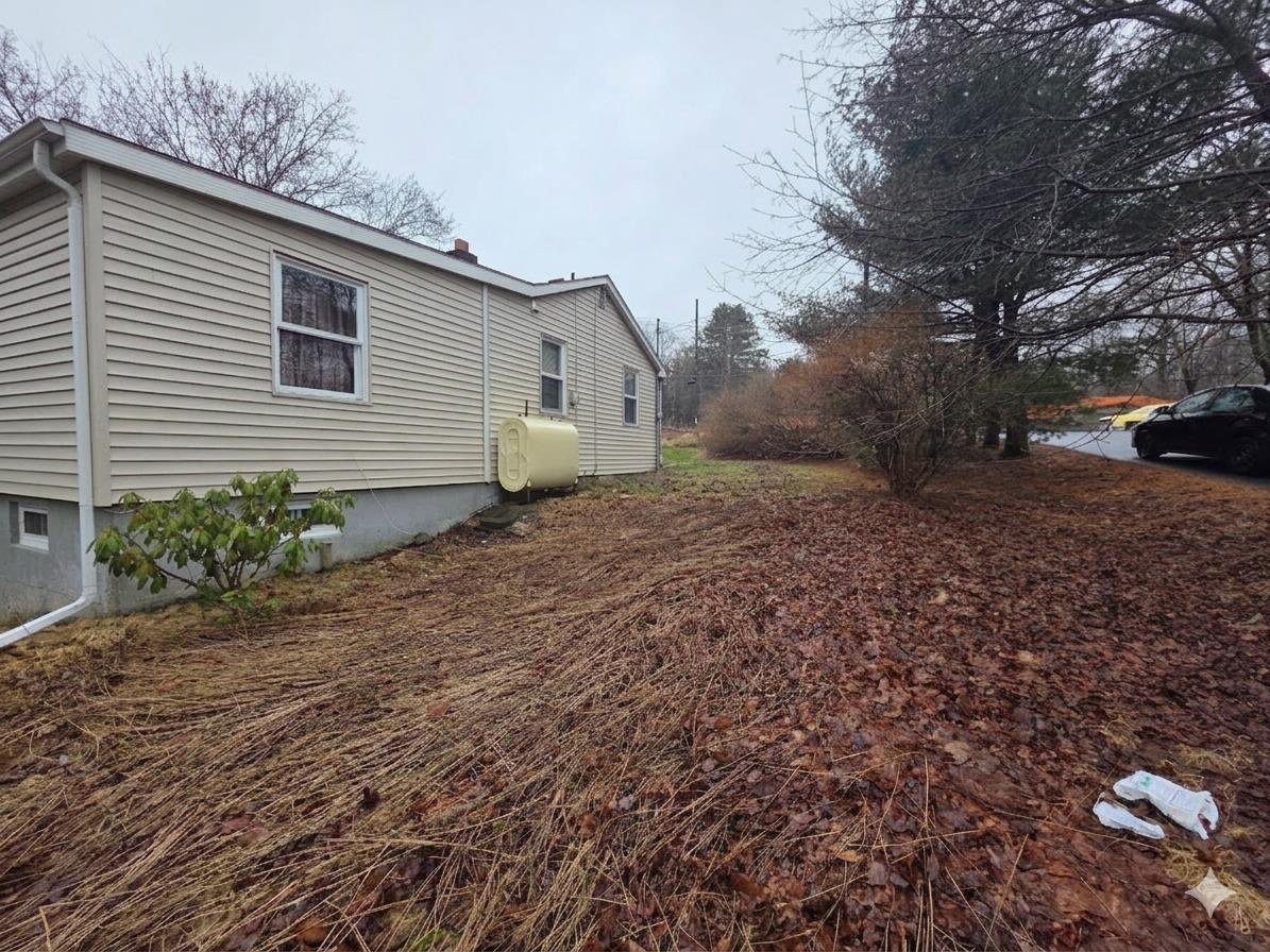 View image 11