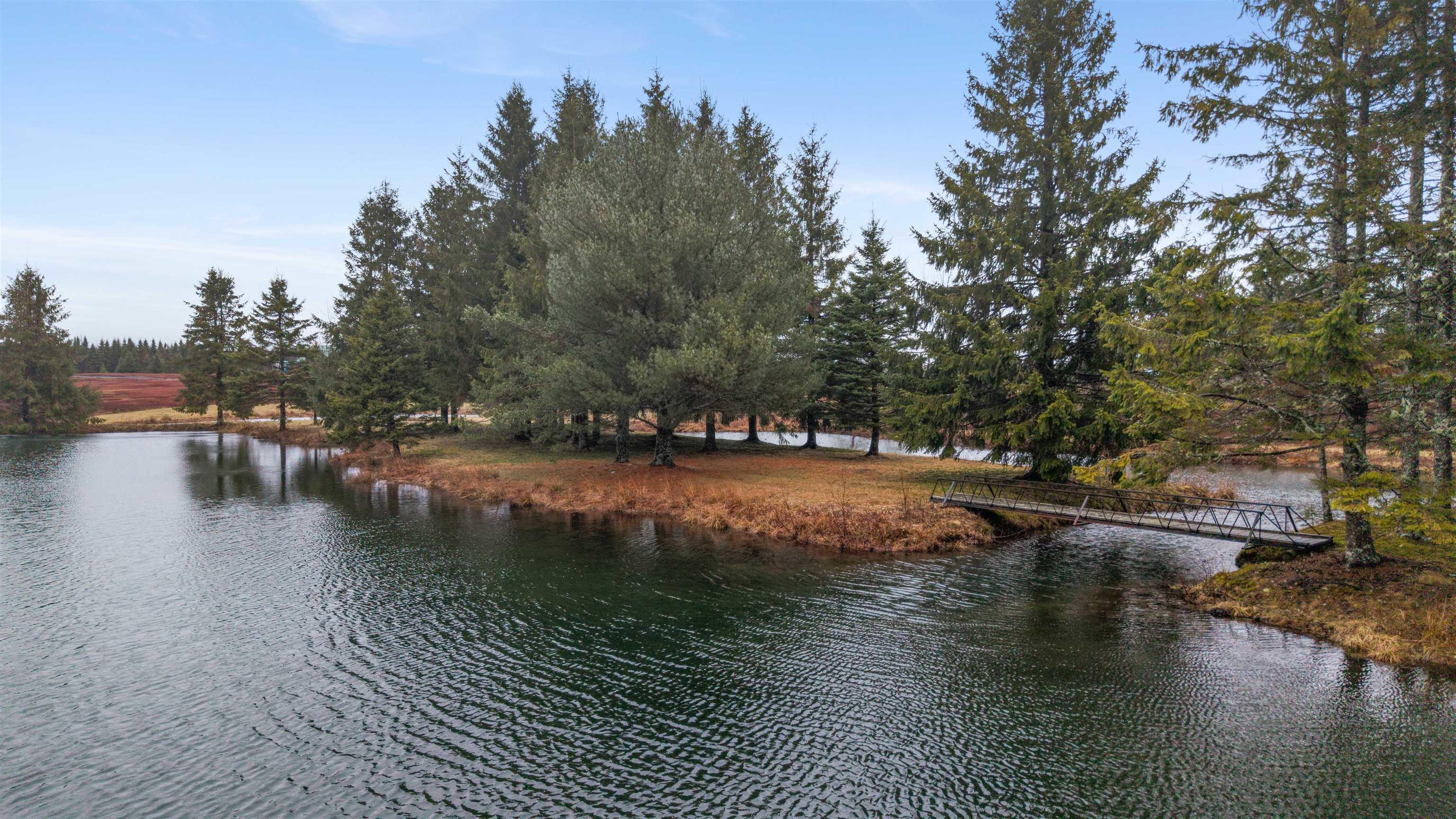 View image 6