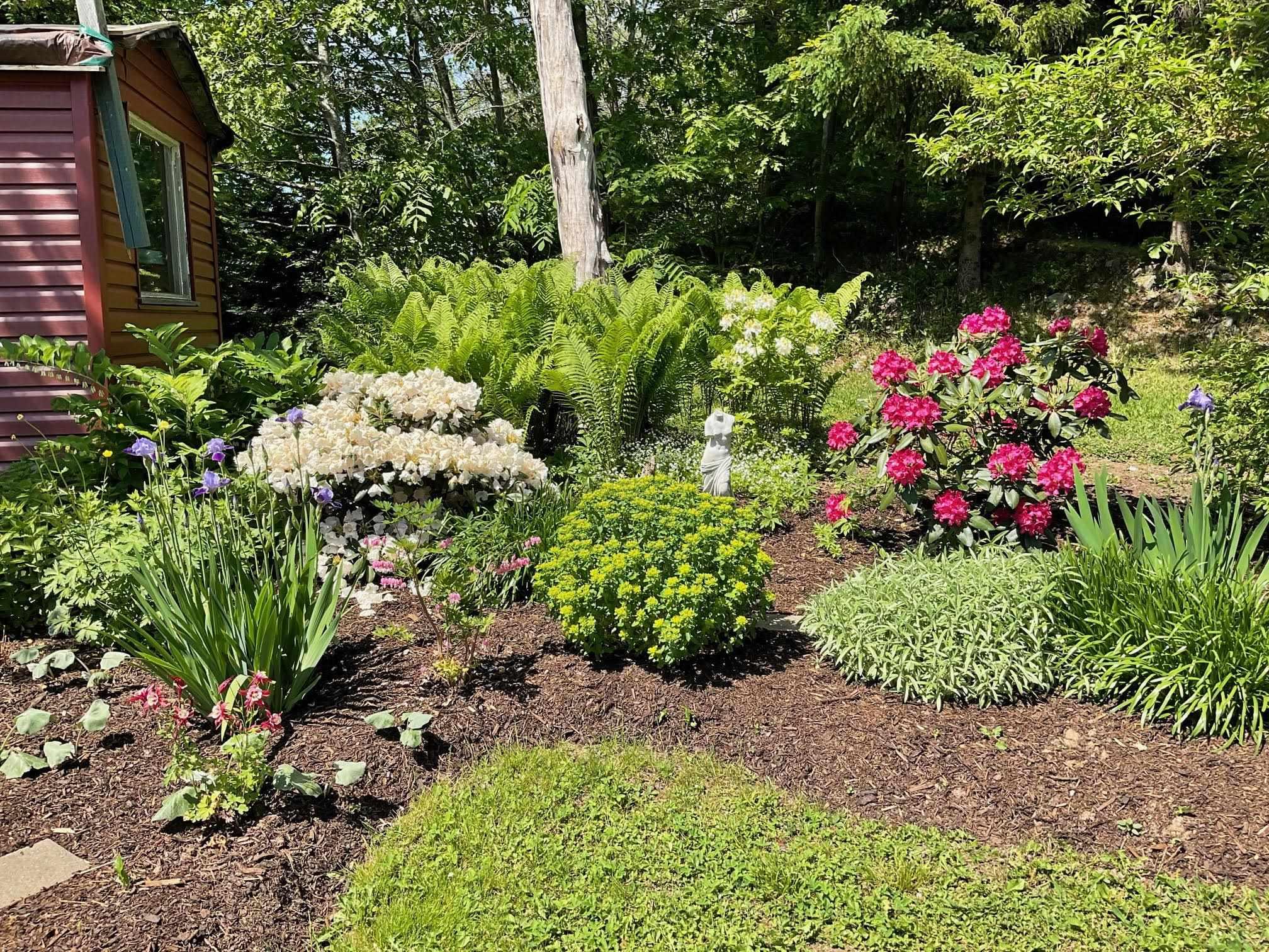View image 37