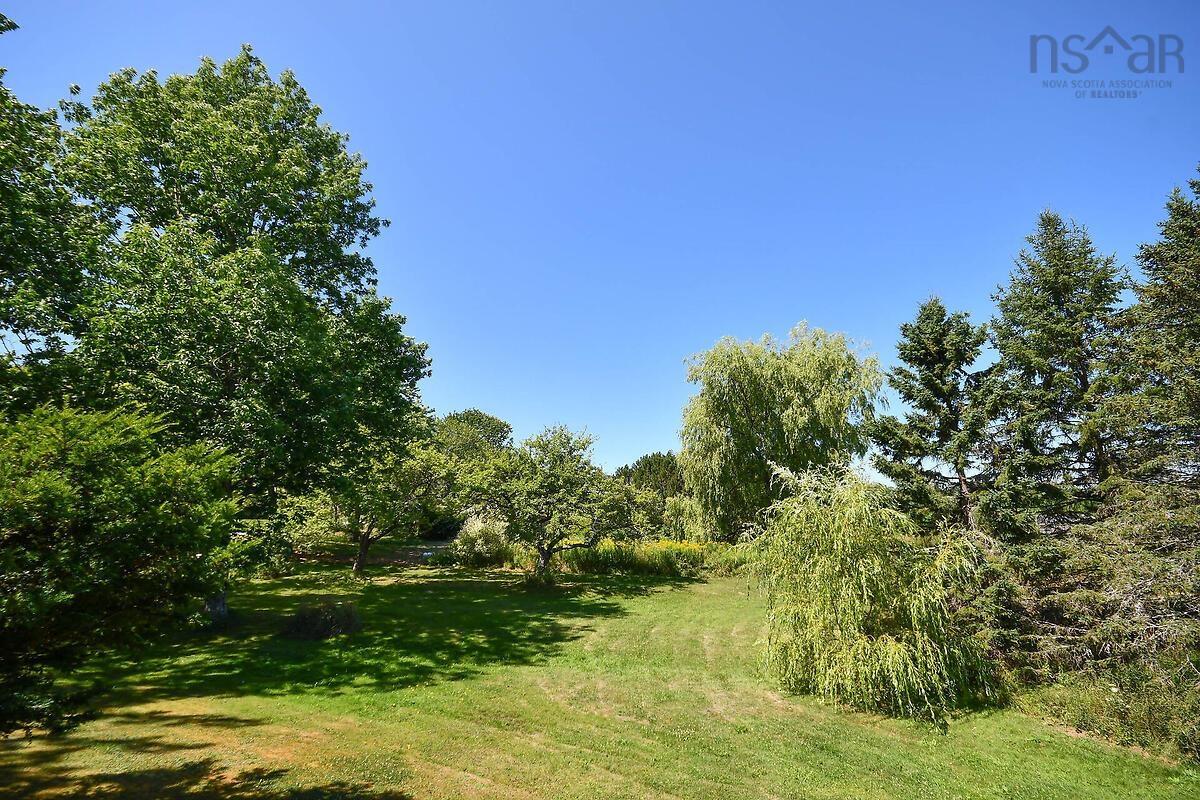 View image 31